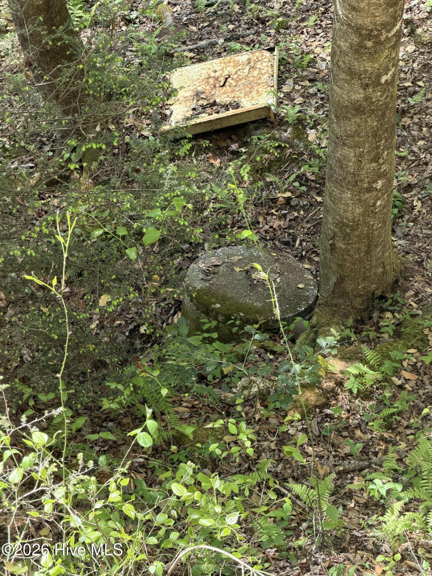 17.96 Lower Vengeance Creek Road Property Photo 10