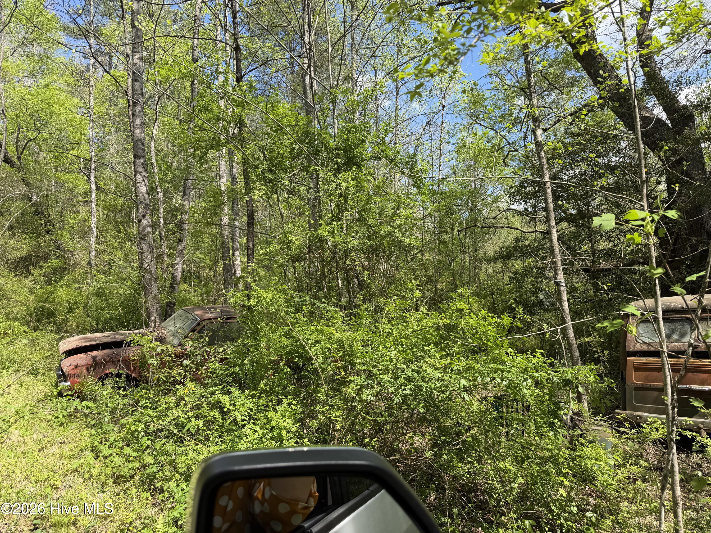 17.96 Lower Vengeance Creek Road Property Photo 12