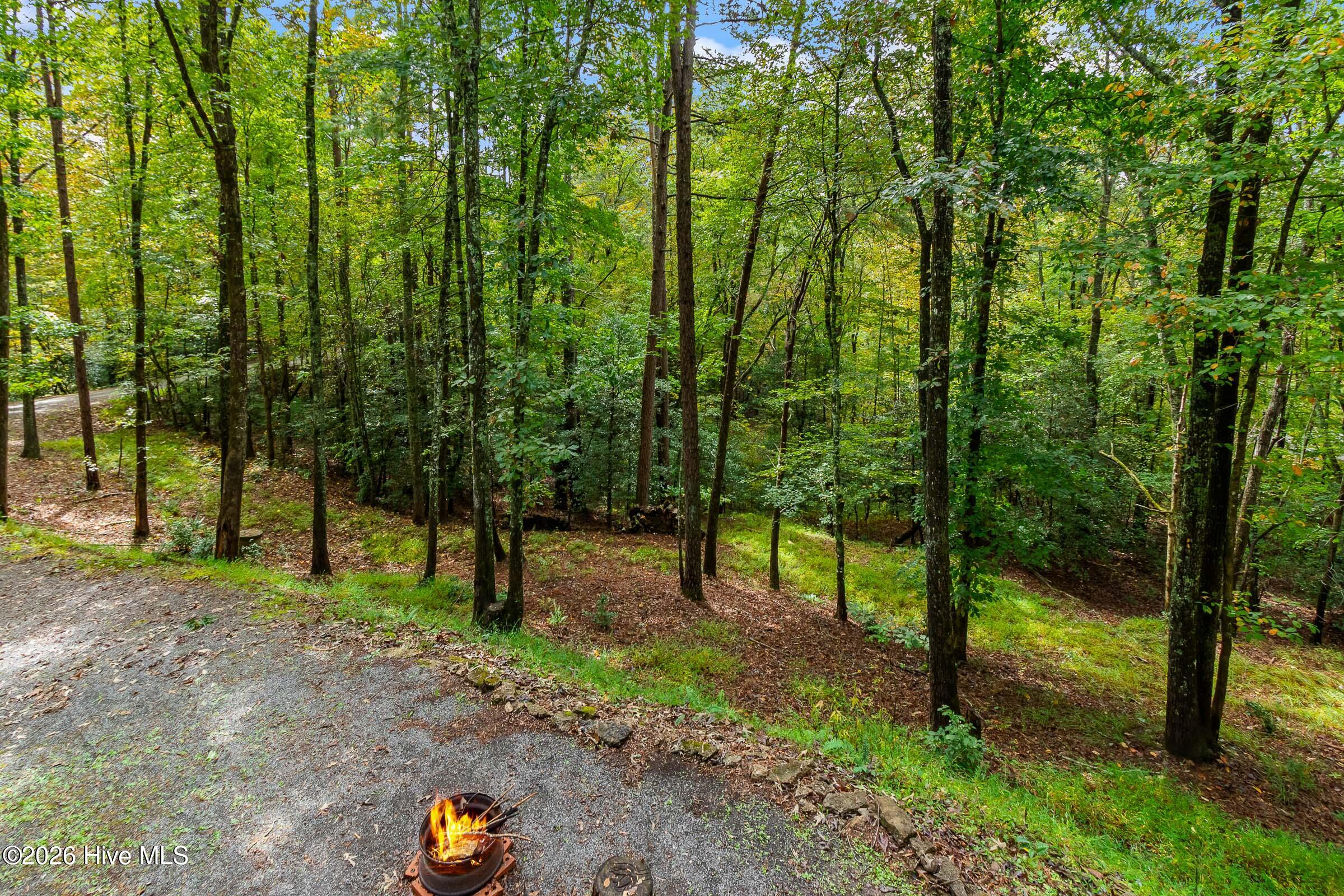 151 Pinewood Drive Property Photo 21