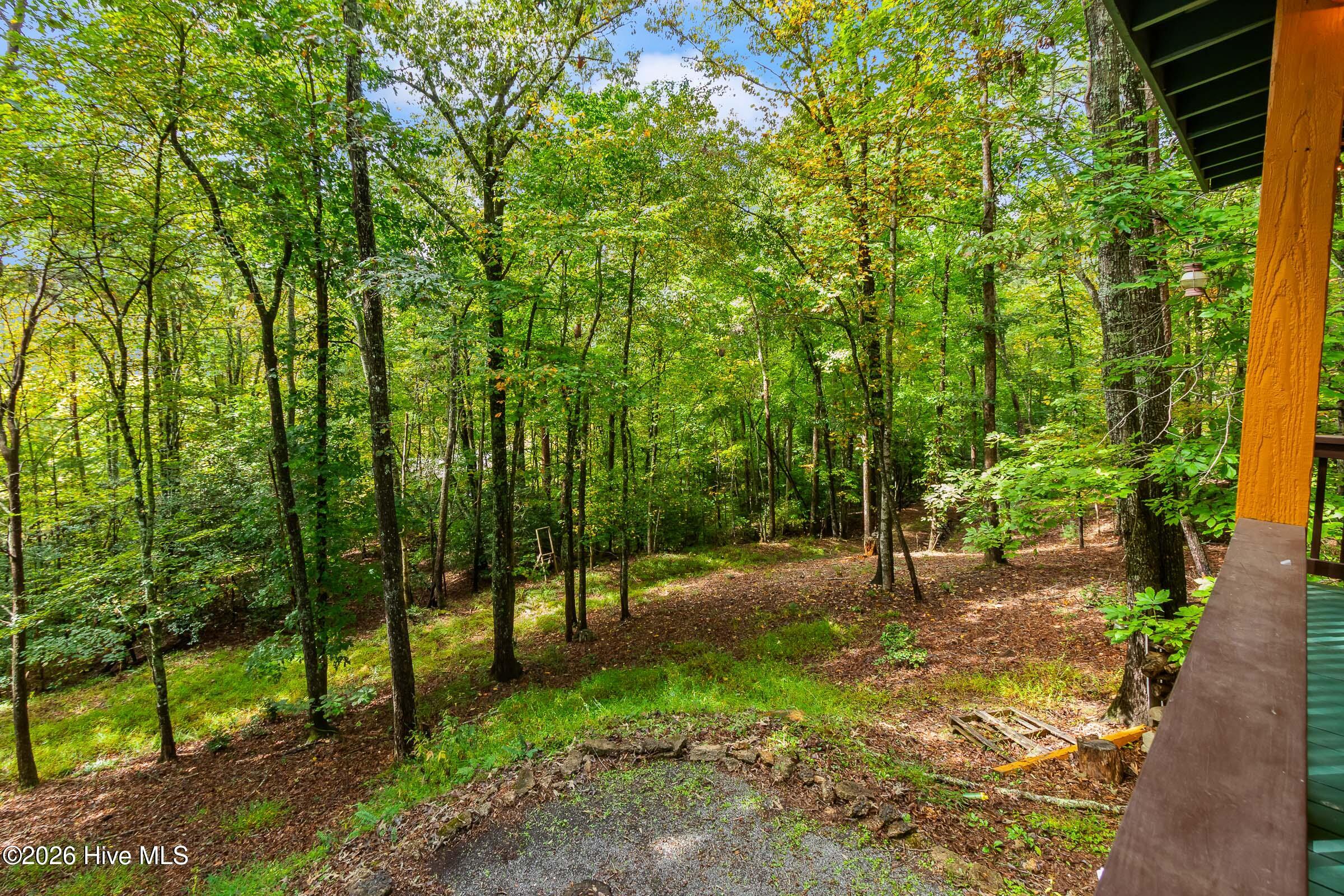 151 Pinewood Drive Property Photo 22