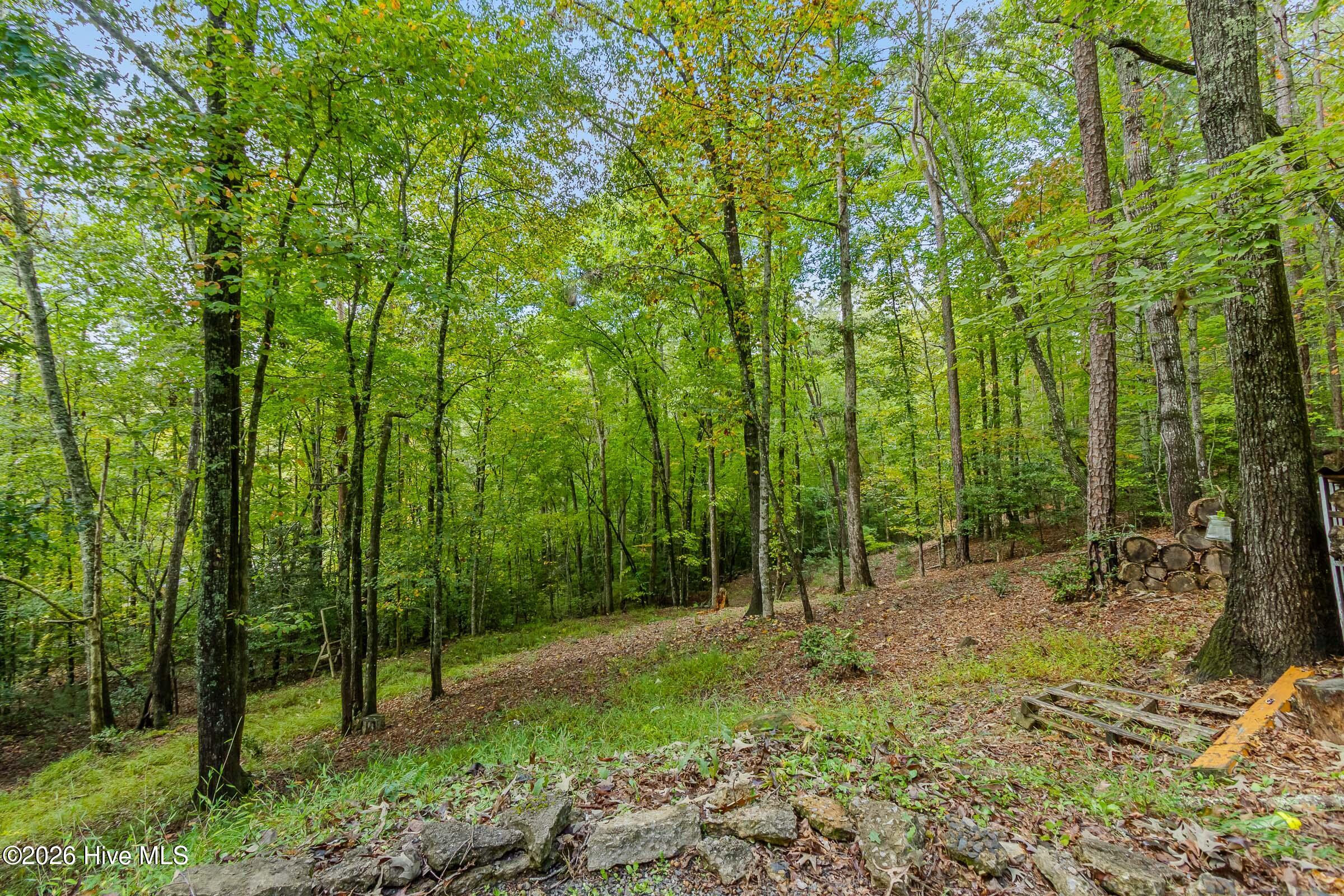 151 Pinewood Drive Property Photo 43
