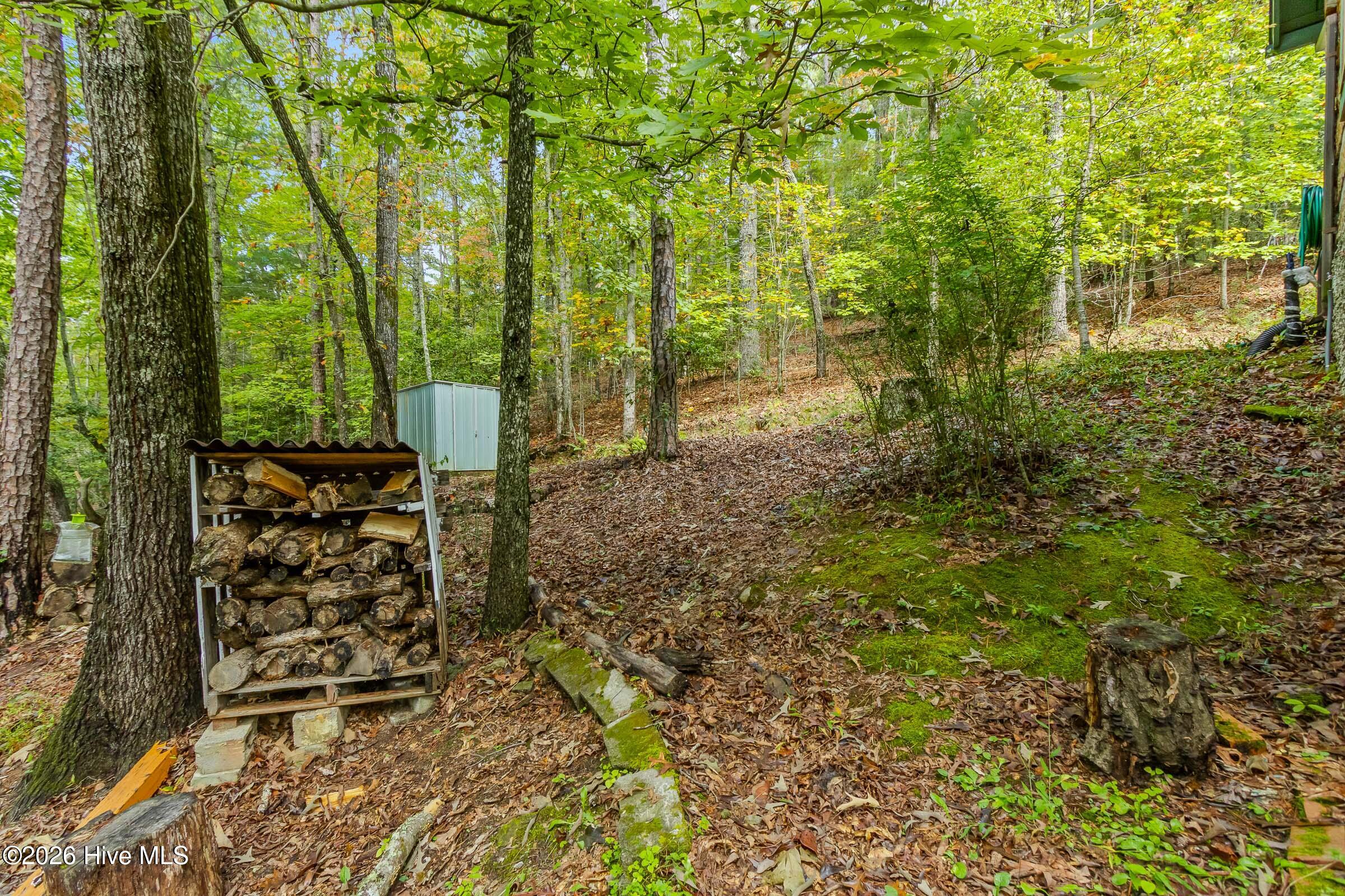 151 Pinewood Drive Property Photo 44