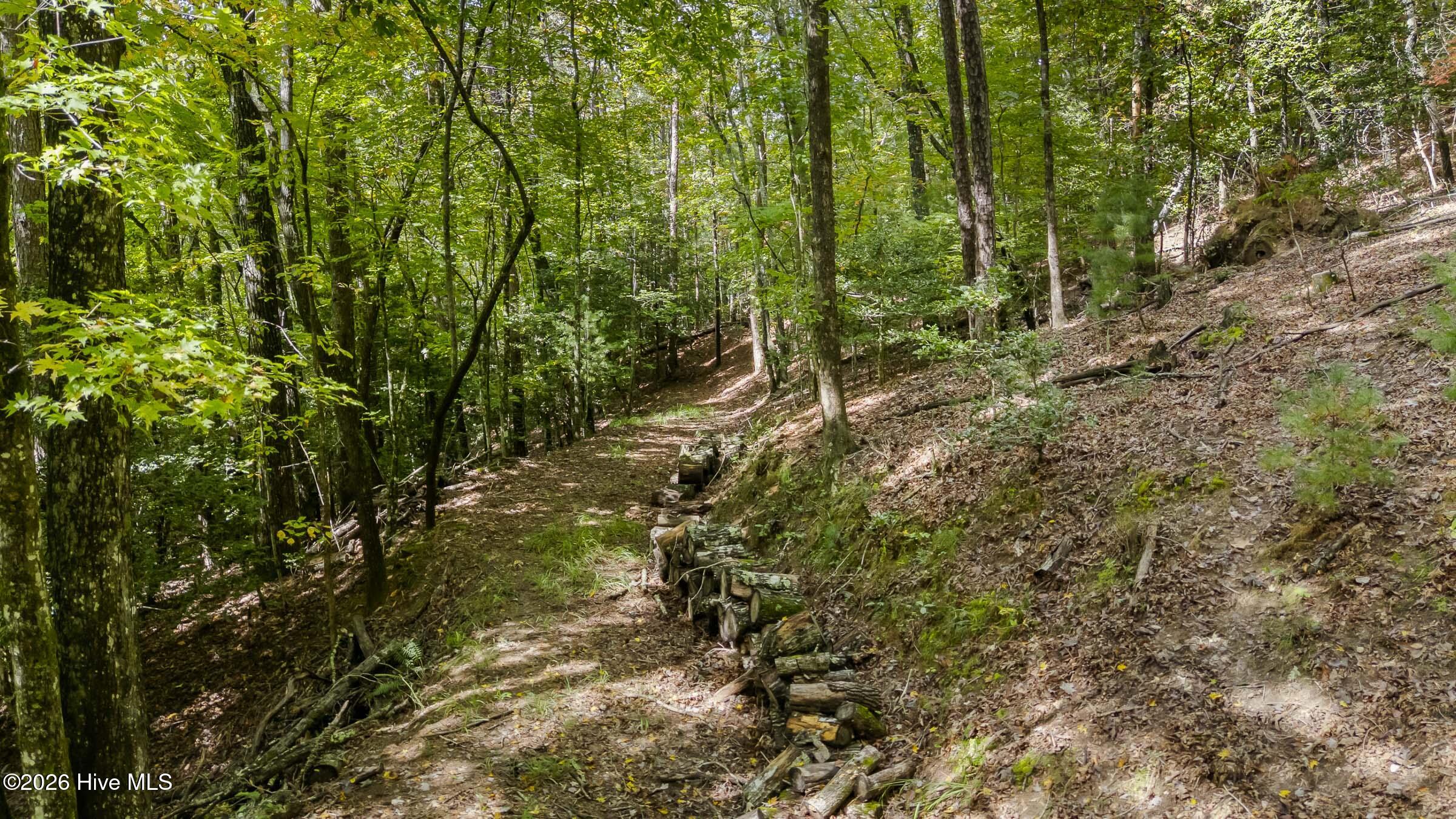 151 Pinewood Drive Property Photo 45