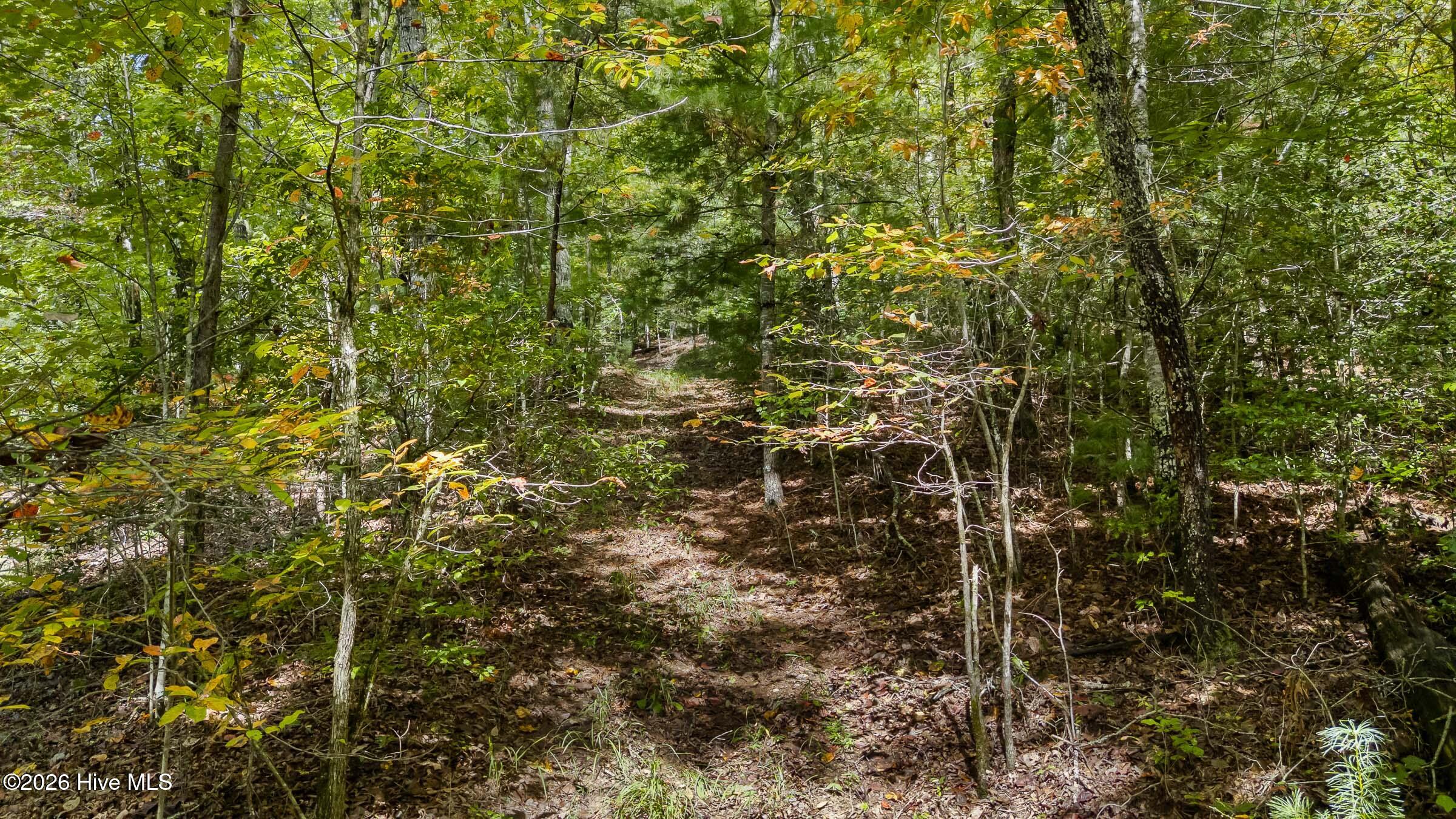151 Pinewood Drive Property Photo 47