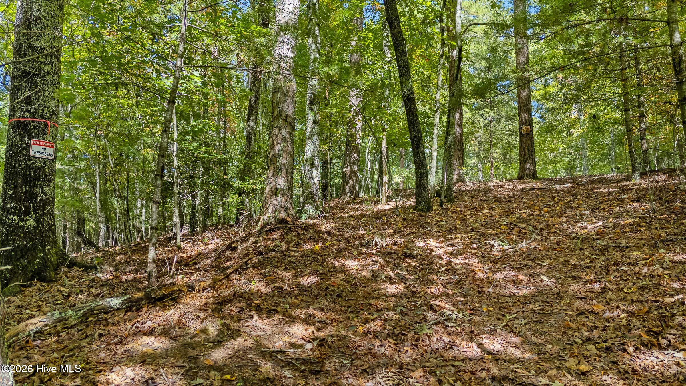 151 Pinewood Drive Property Photo 48