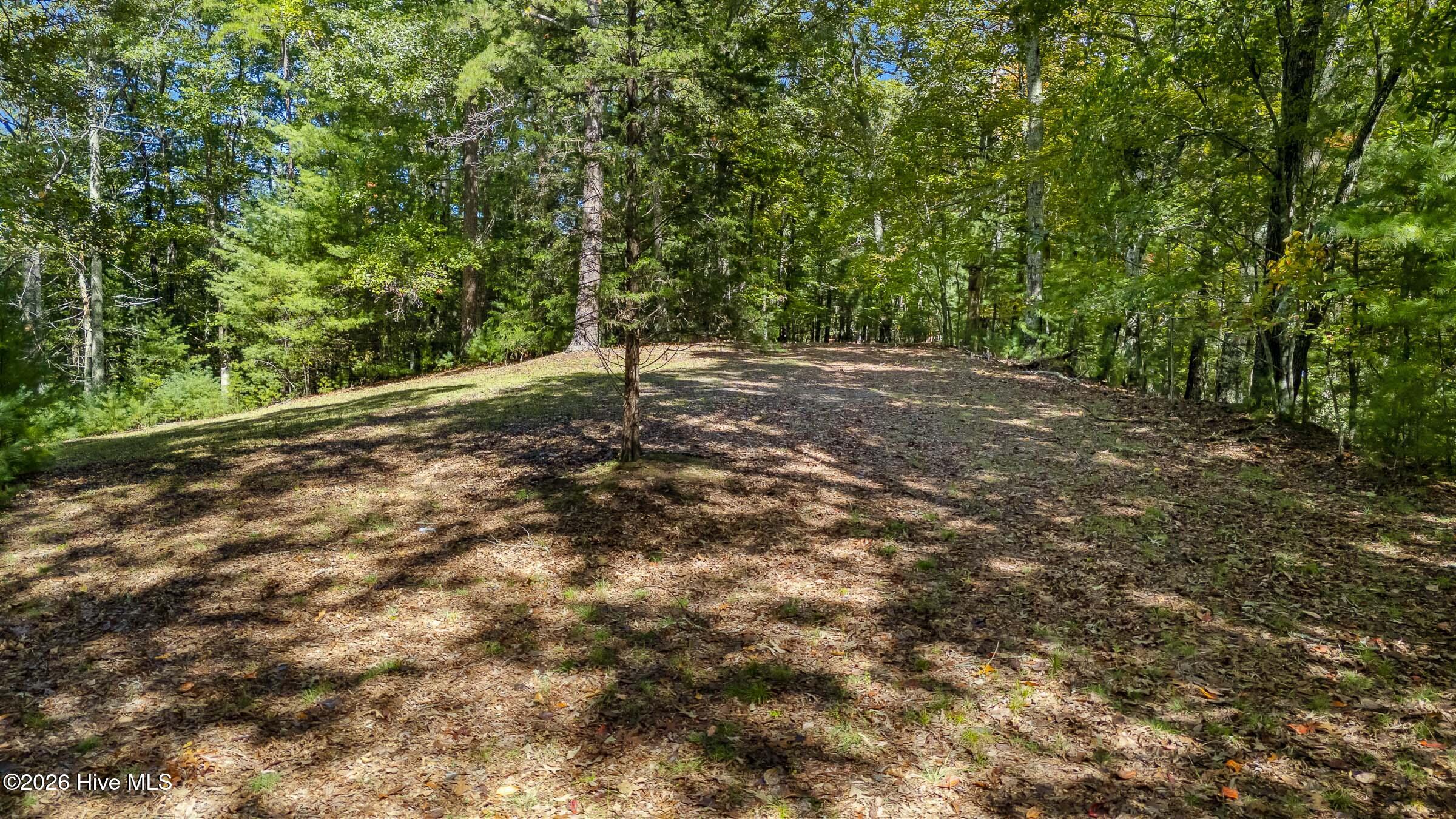 151 Pinewood Drive Property Photo 49