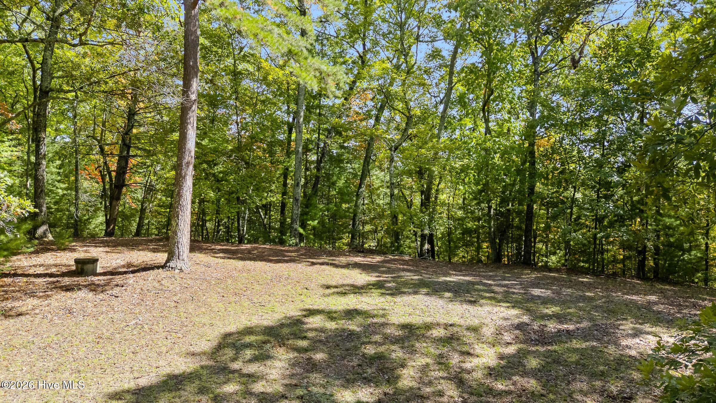 151 Pinewood Drive Property Photo 50