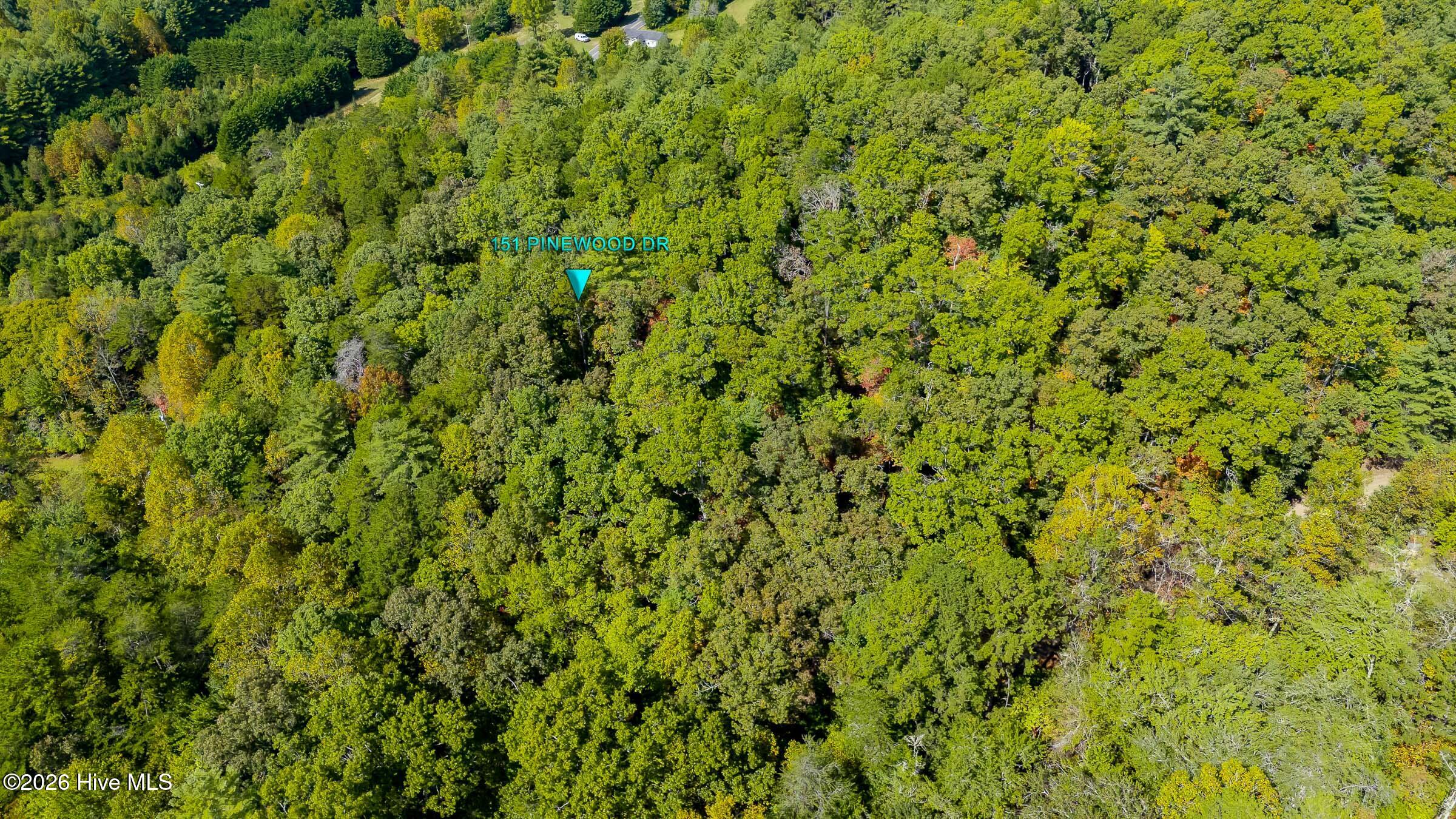 151 Pinewood Drive Property Photo 52