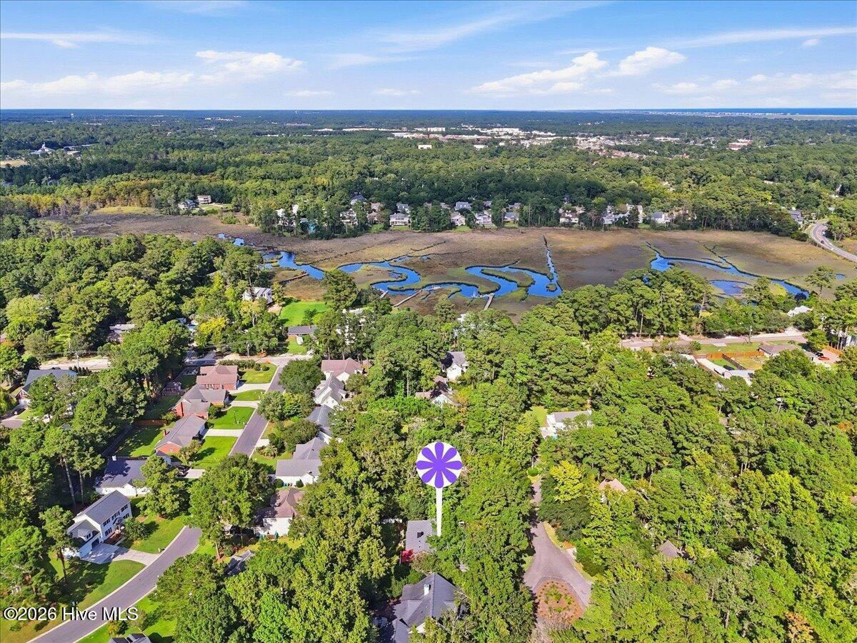 1307 Old Lamplighter Way Property Photo 75
