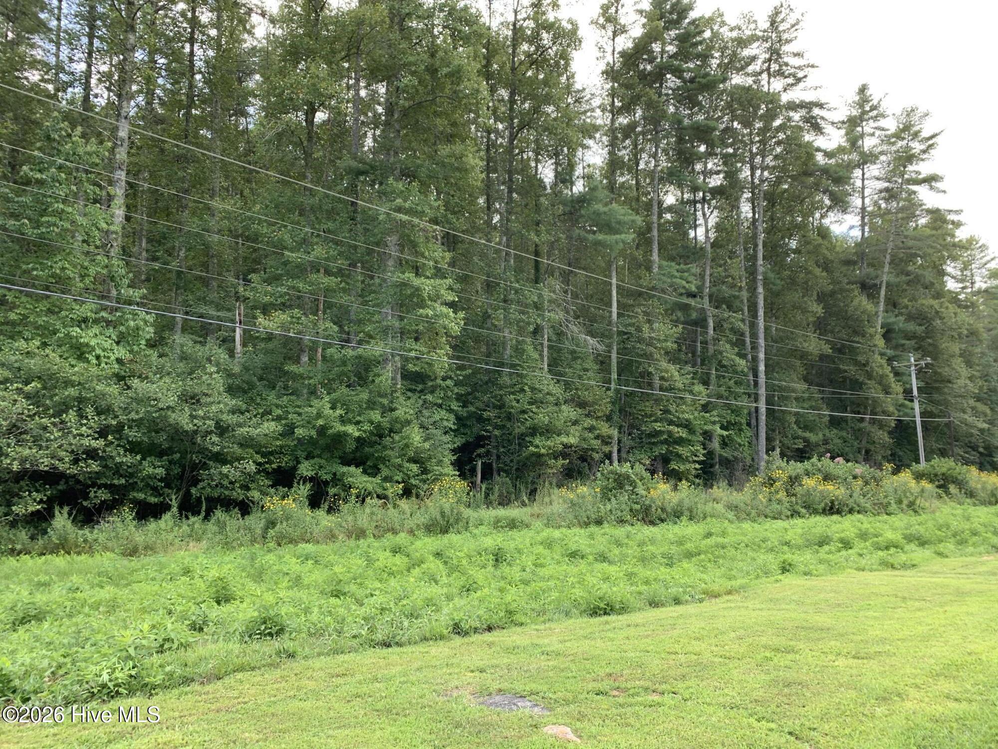 2.87 Ac Hedden Road Property Photo 2