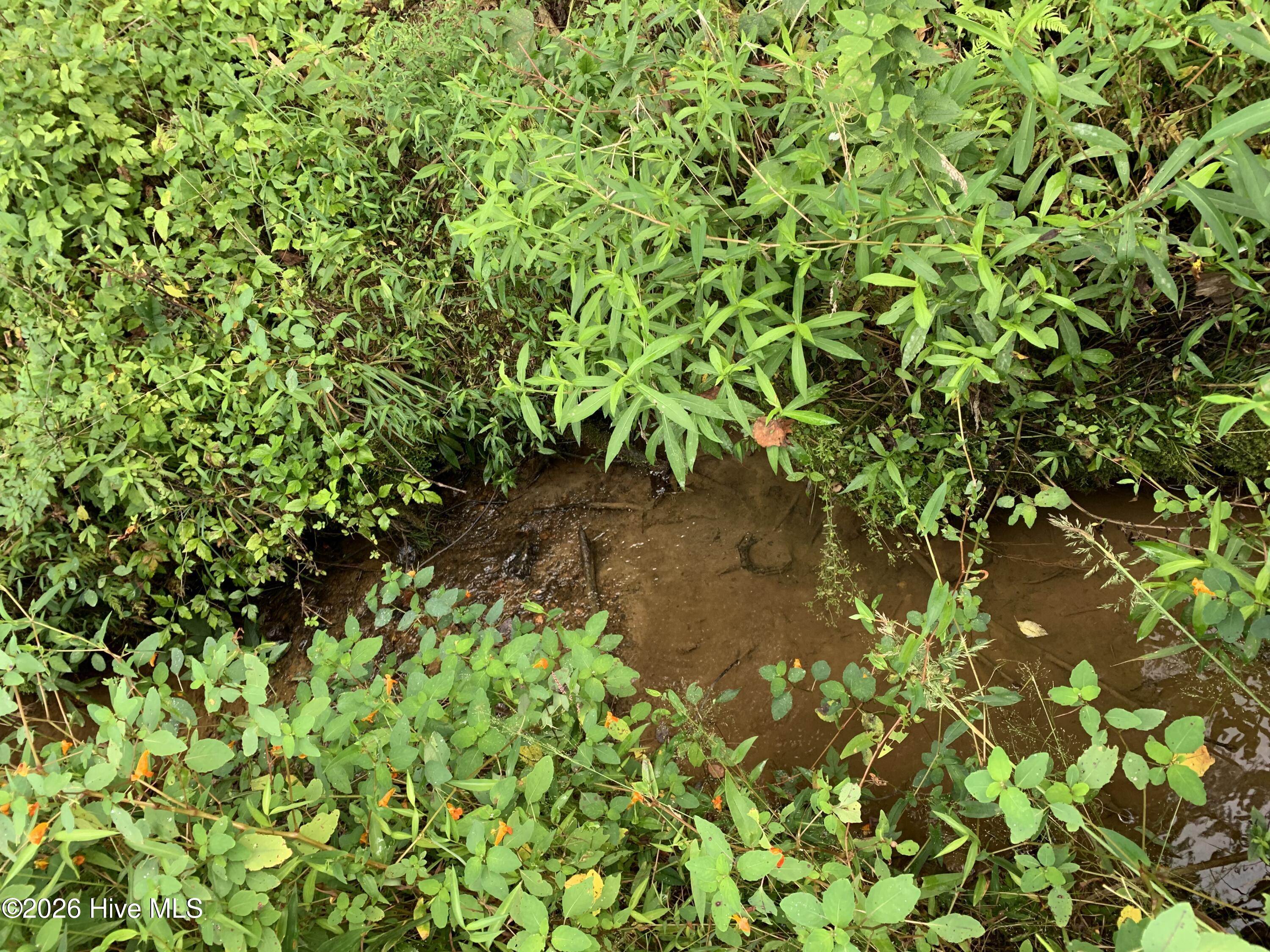 2.87 Ac Hedden Road Property Photo 4