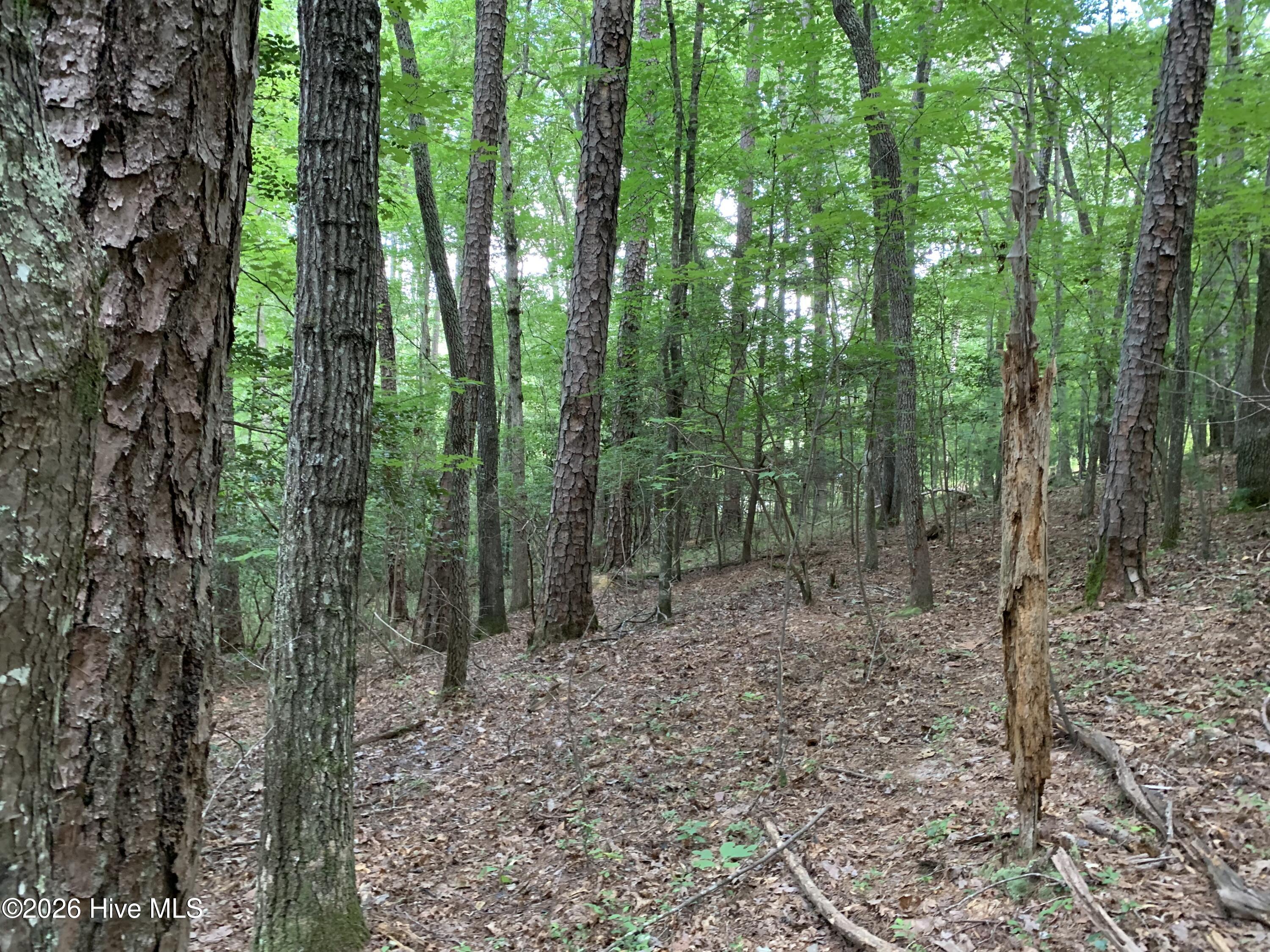 2.87 Ac Hedden Road Property Photo 5