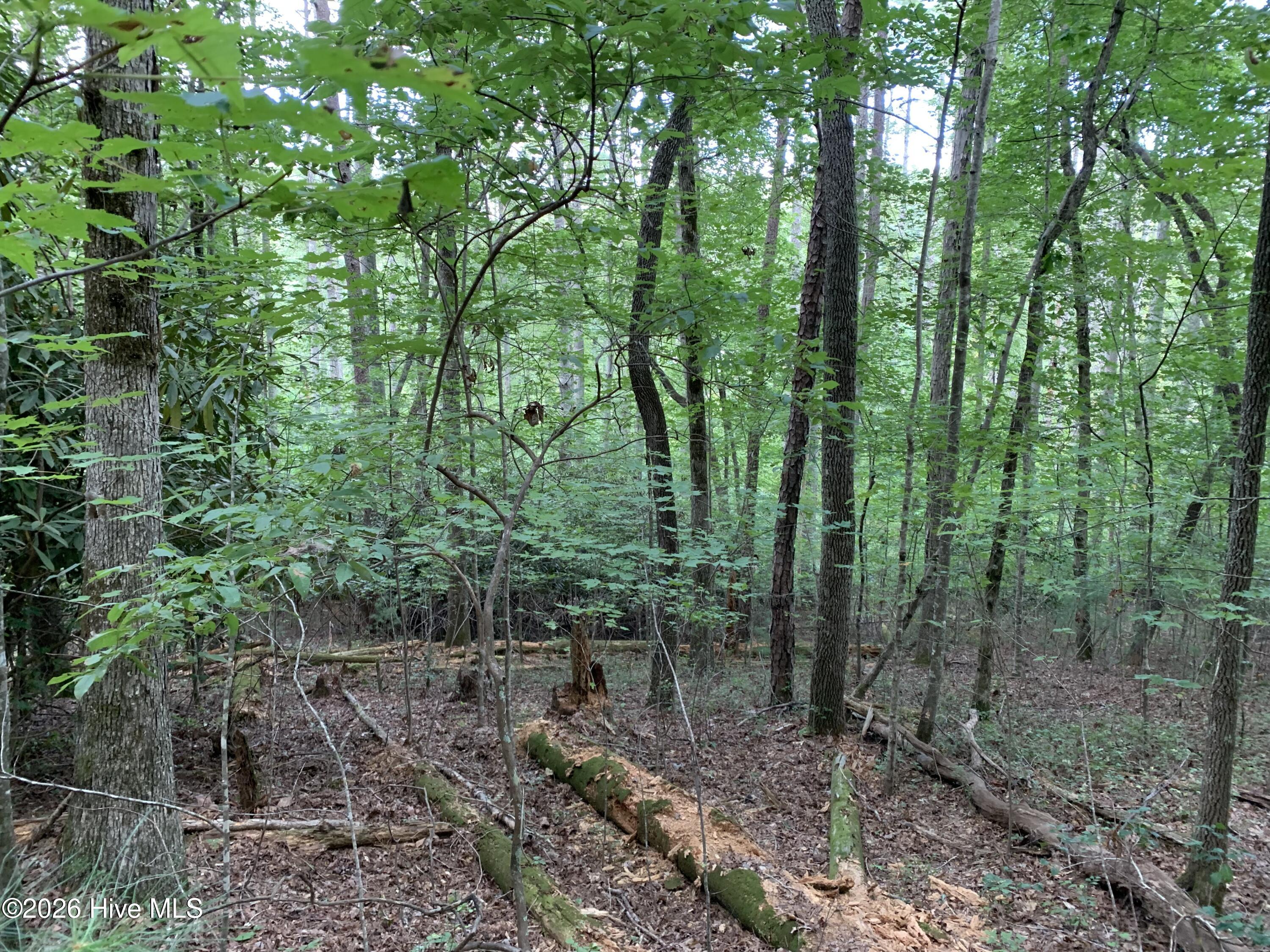2.87 Ac Hedden Road Property Photo 6