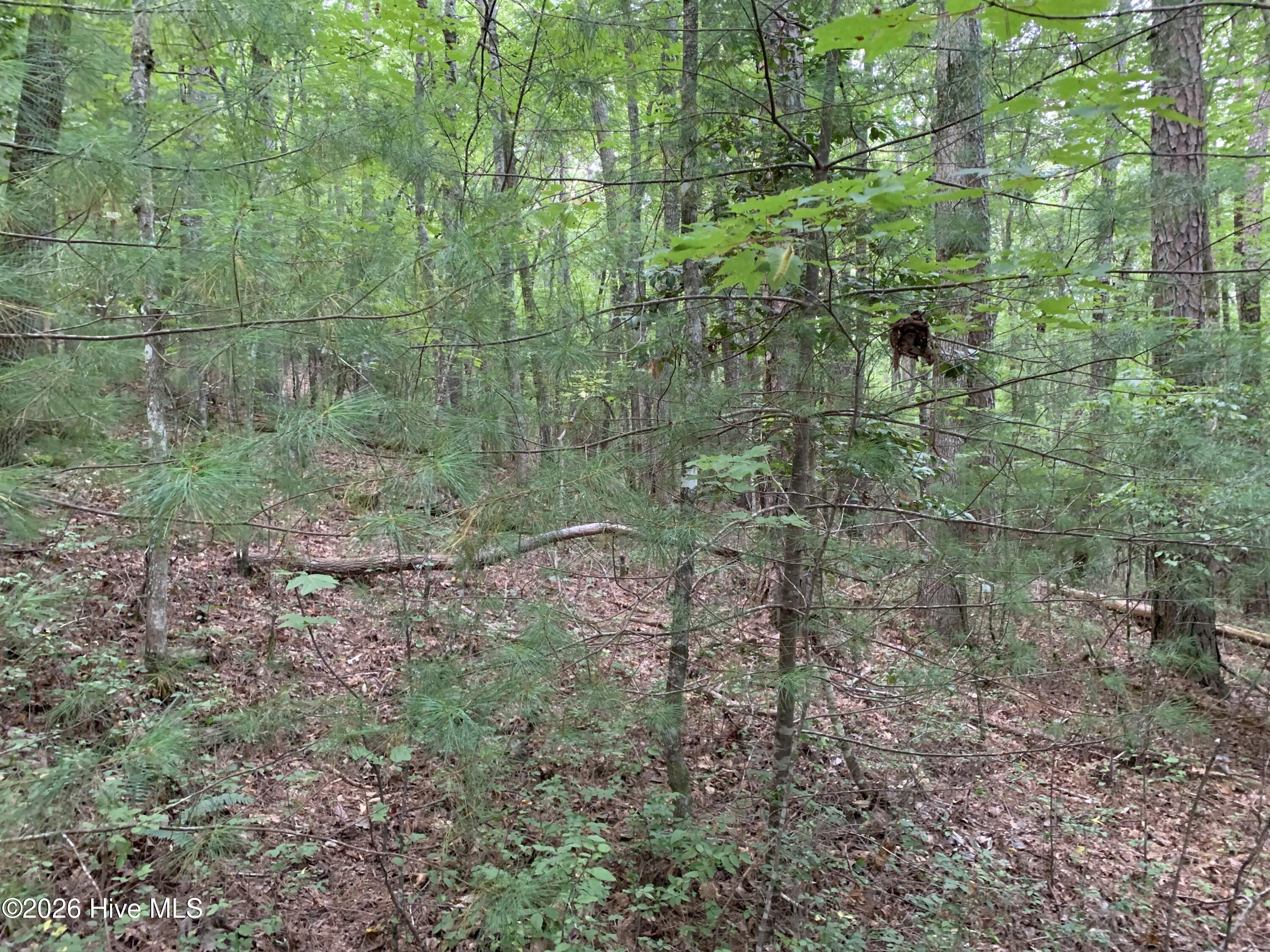 2.87 Ac Hedden Road Property Photo 7
