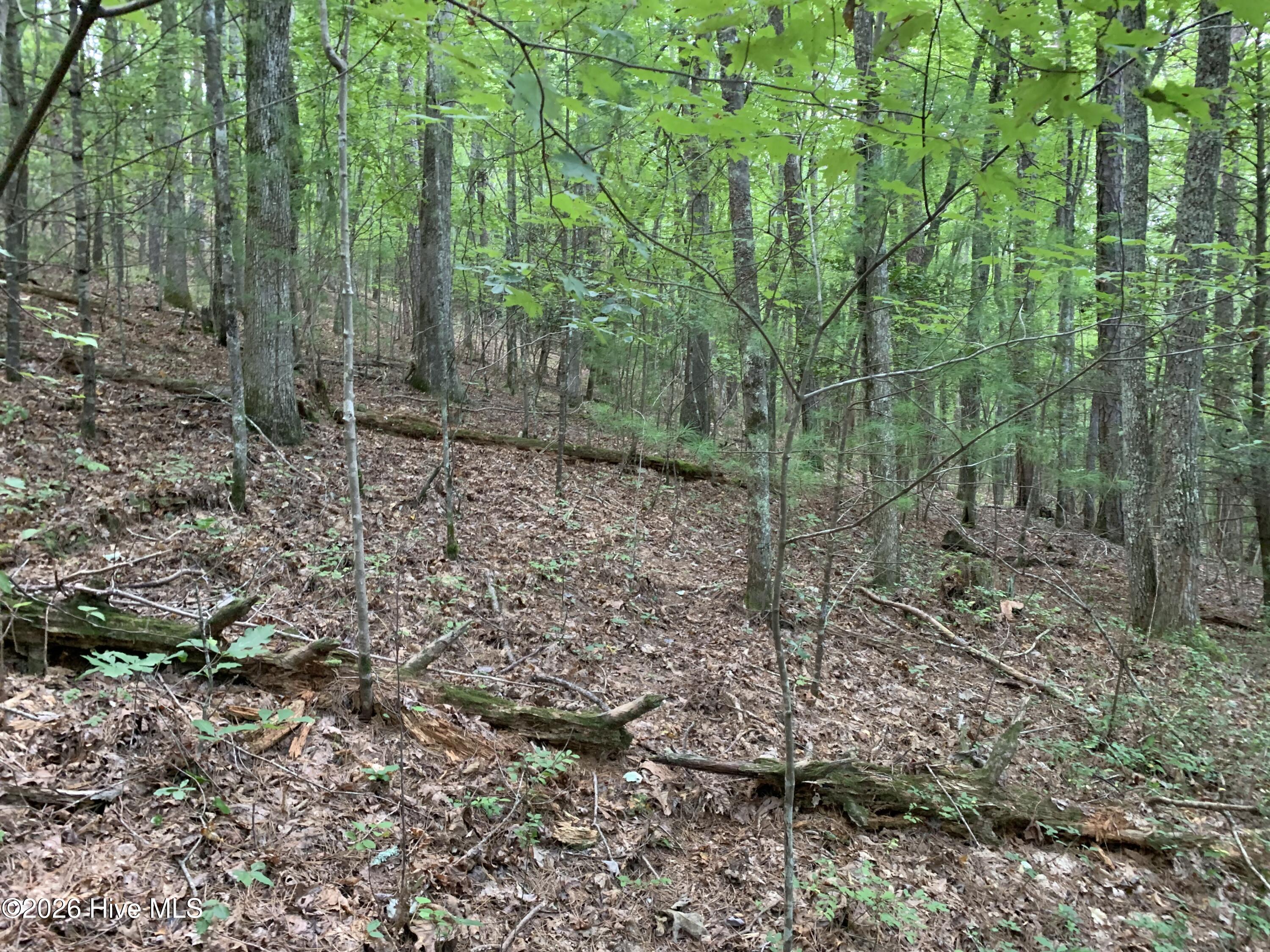 2.87 Ac Hedden Road Property Photo 8
