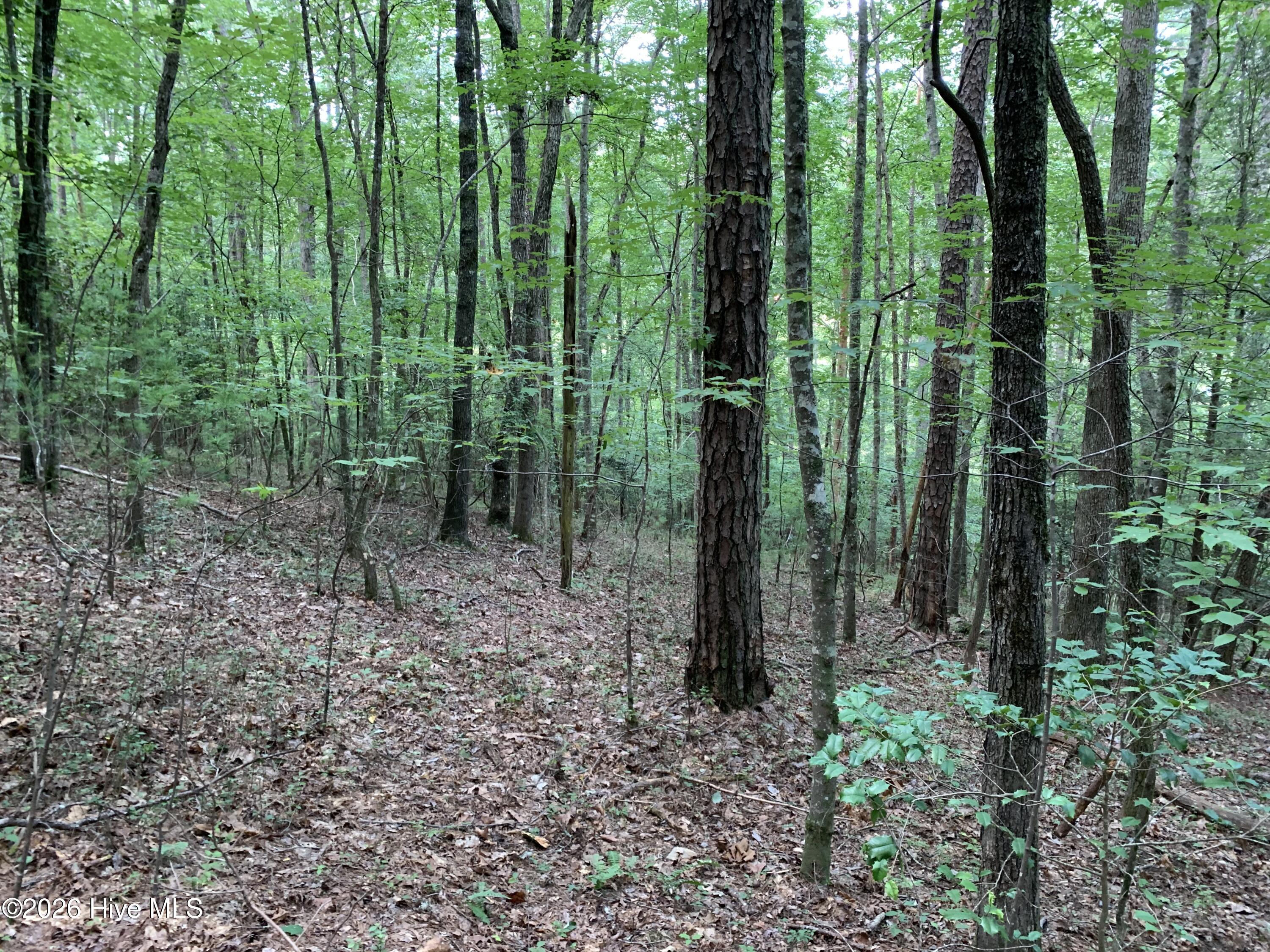 2.87 Ac Hedden Road Property Photo 9