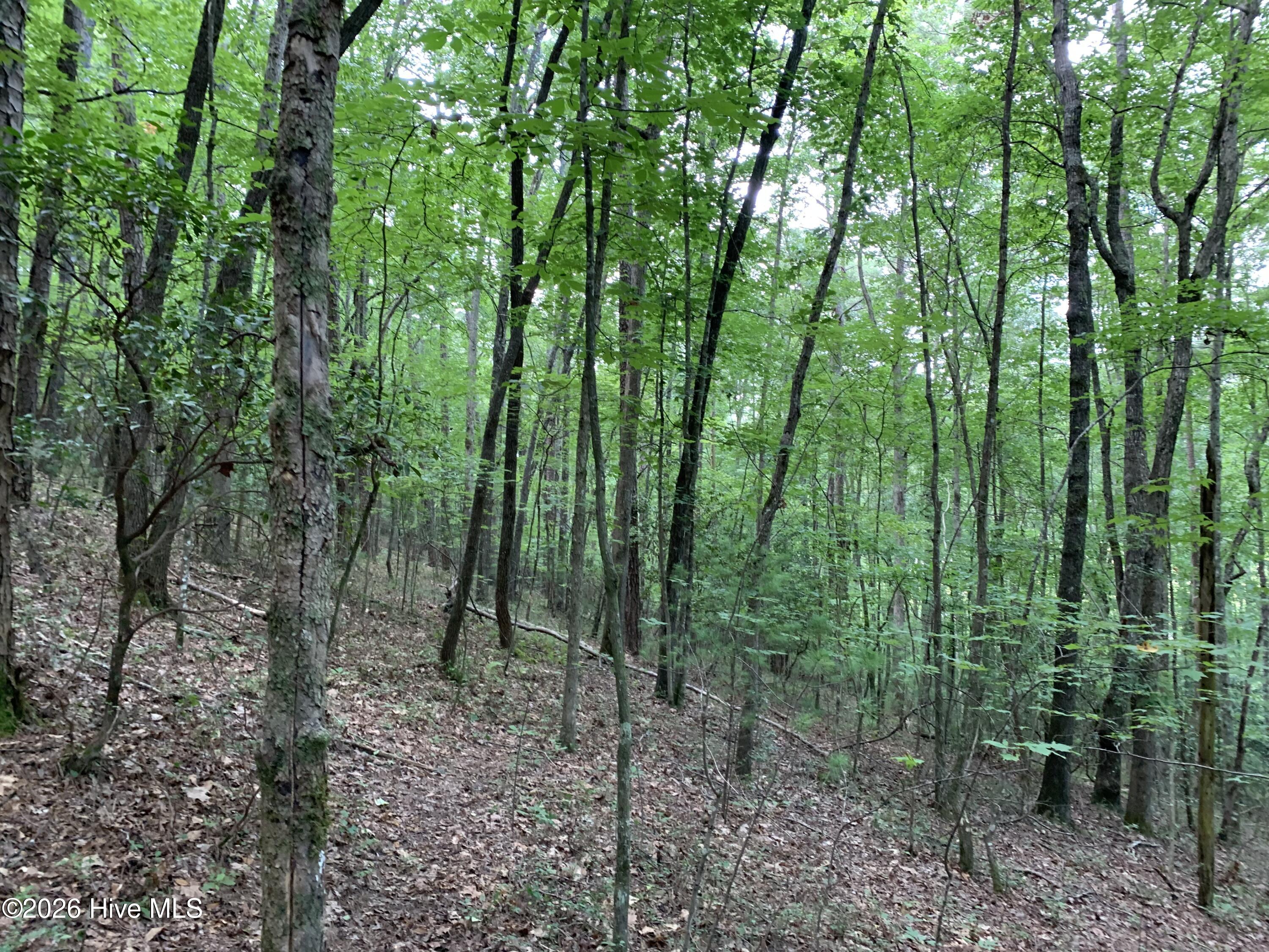 2.87 Ac Hedden Road Property Photo 10