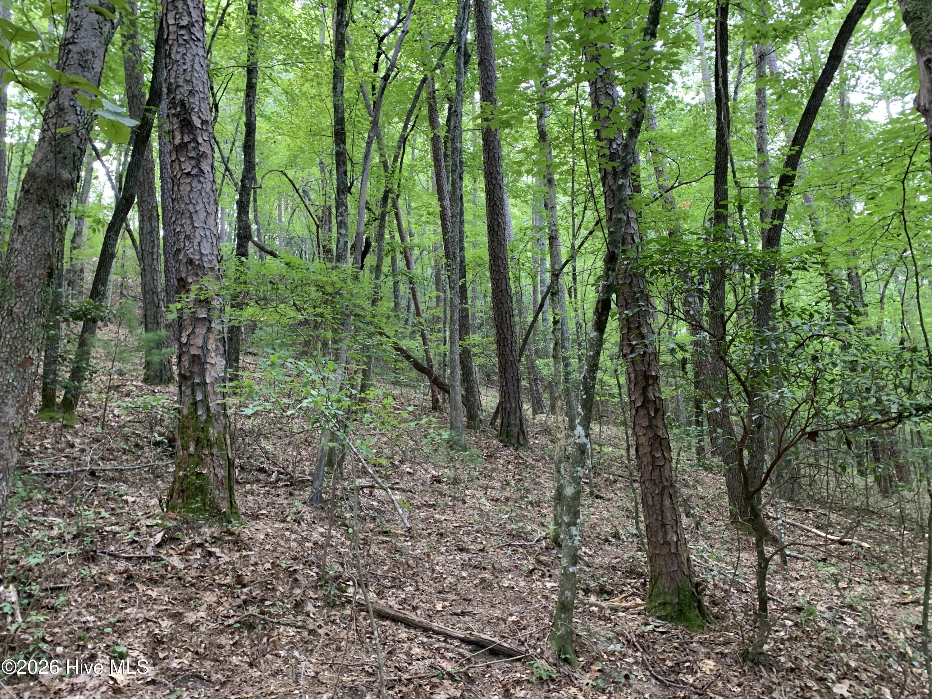 2.87 Ac Hedden Road Property Photo 11