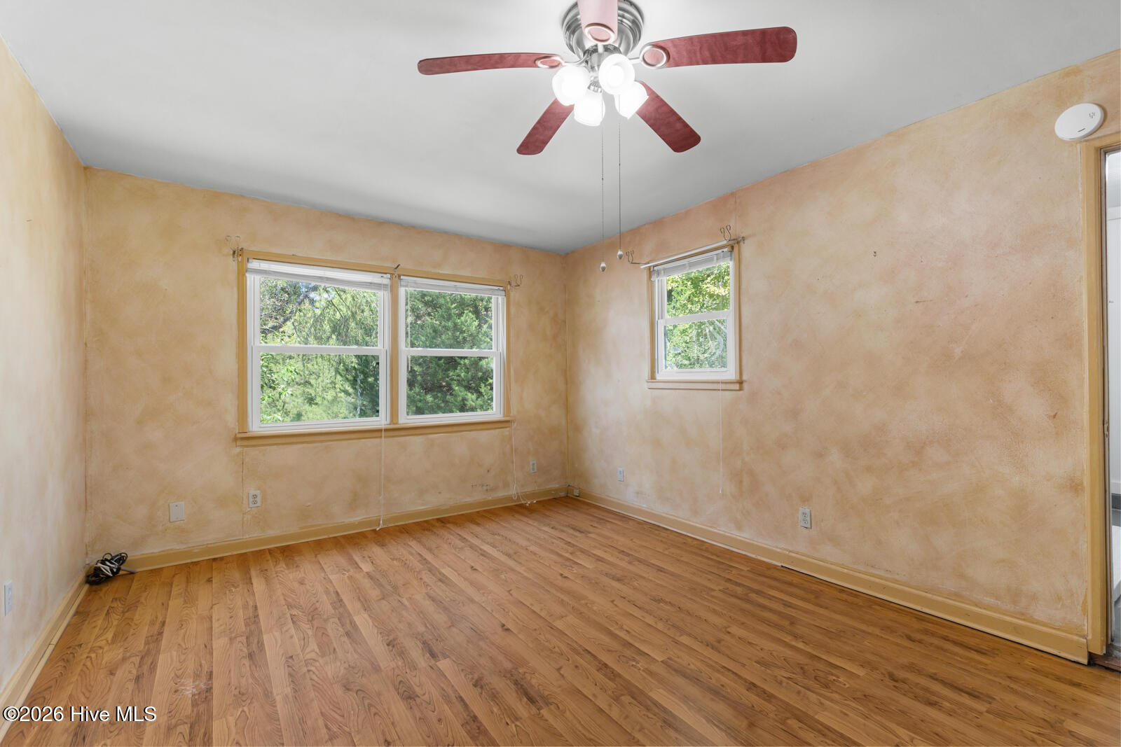 13 Dewitt Street Property Photo 13