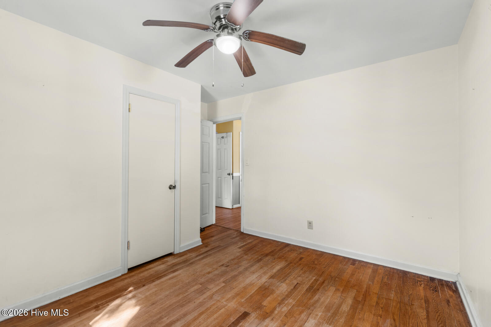13 Dewitt Street Property Photo 22
