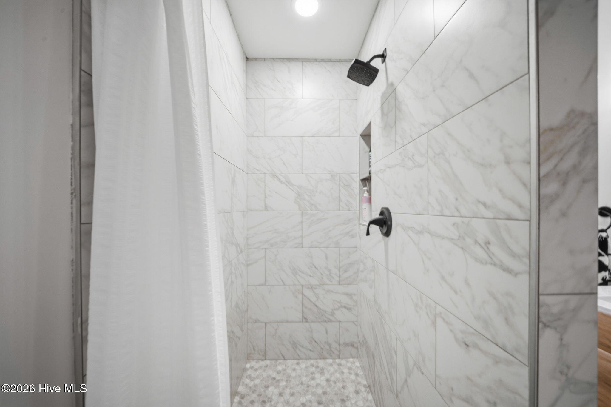 313 Birmingham Avenue Unit 1 Property Photo 51
