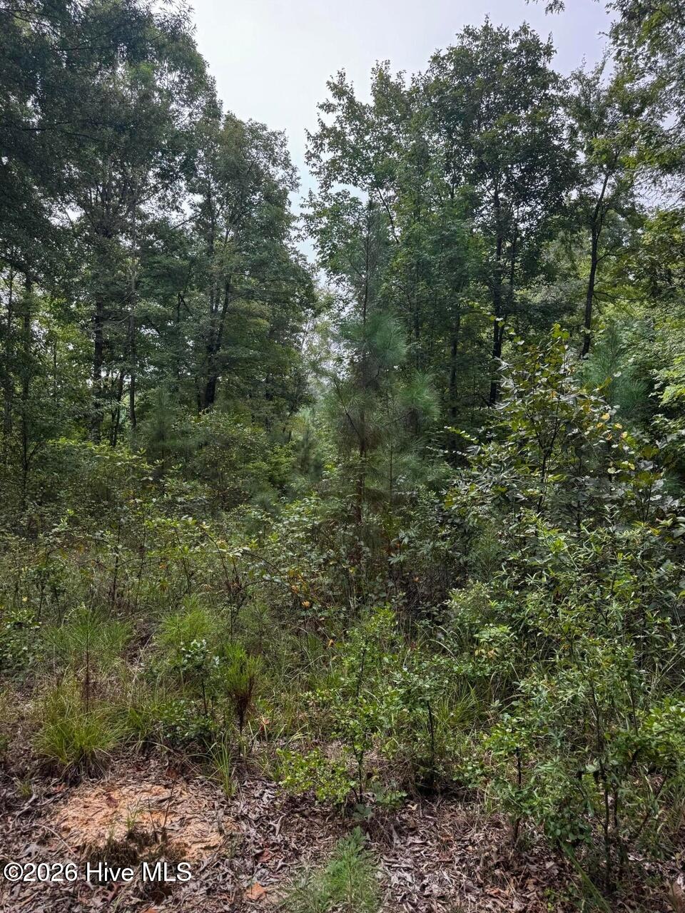 00 Gabe Rd Property Photo 2