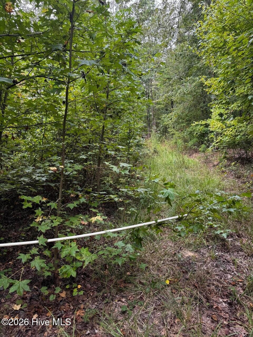 00 Gabe Rd Property Photo 5