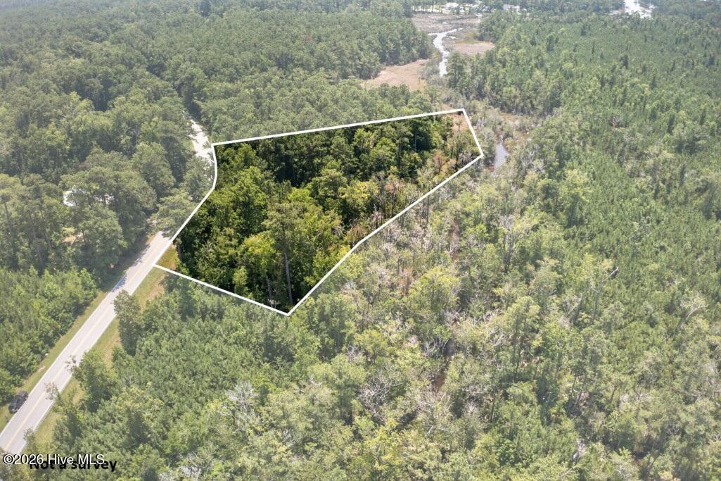 4915 Merrimon Road Property Photo 6