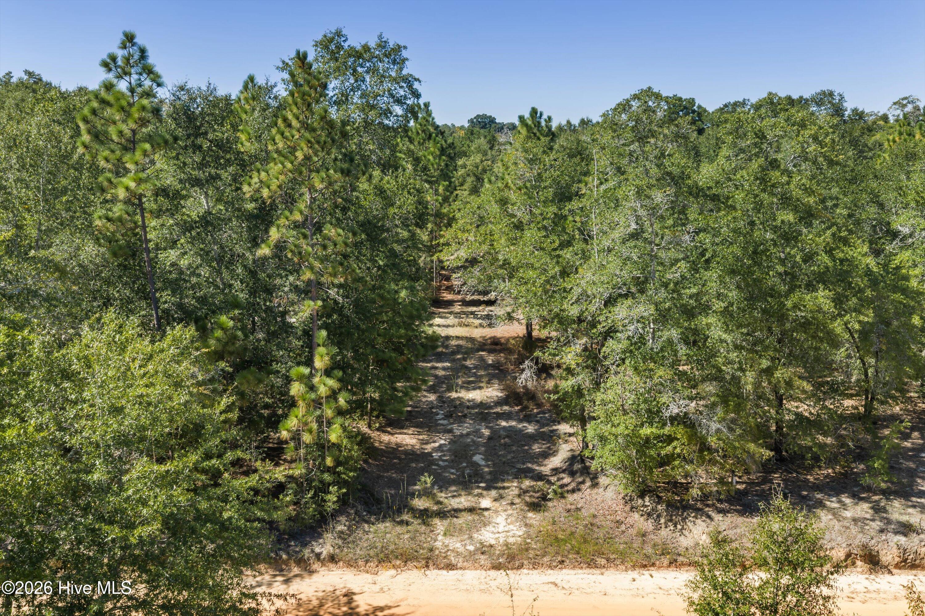 000.0 Mary Rawls Road Property Photo 4