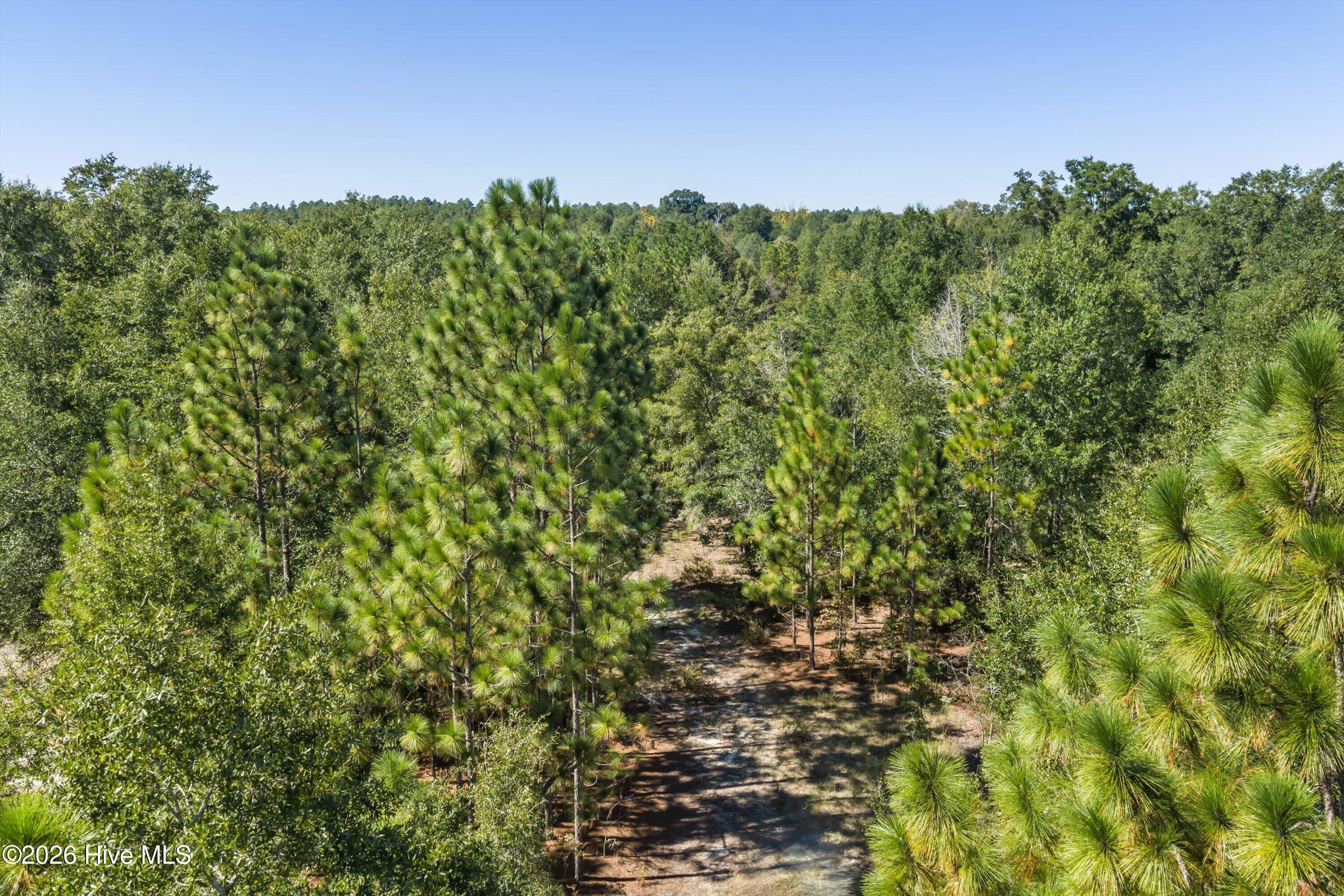 000.0 Mary Rawls Road Property Photo 10