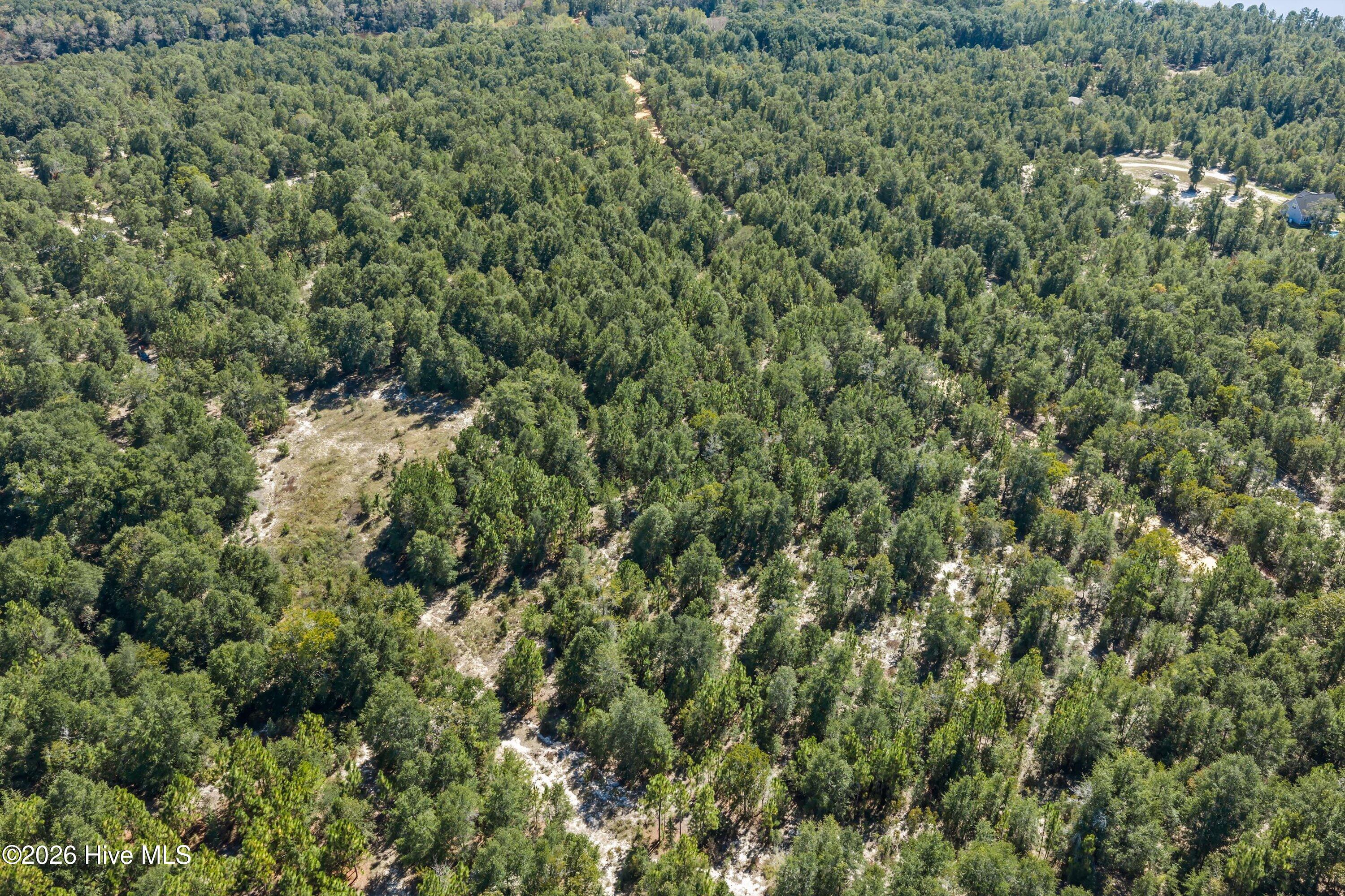 000.0 Mary Rawls Road Property Photo 12