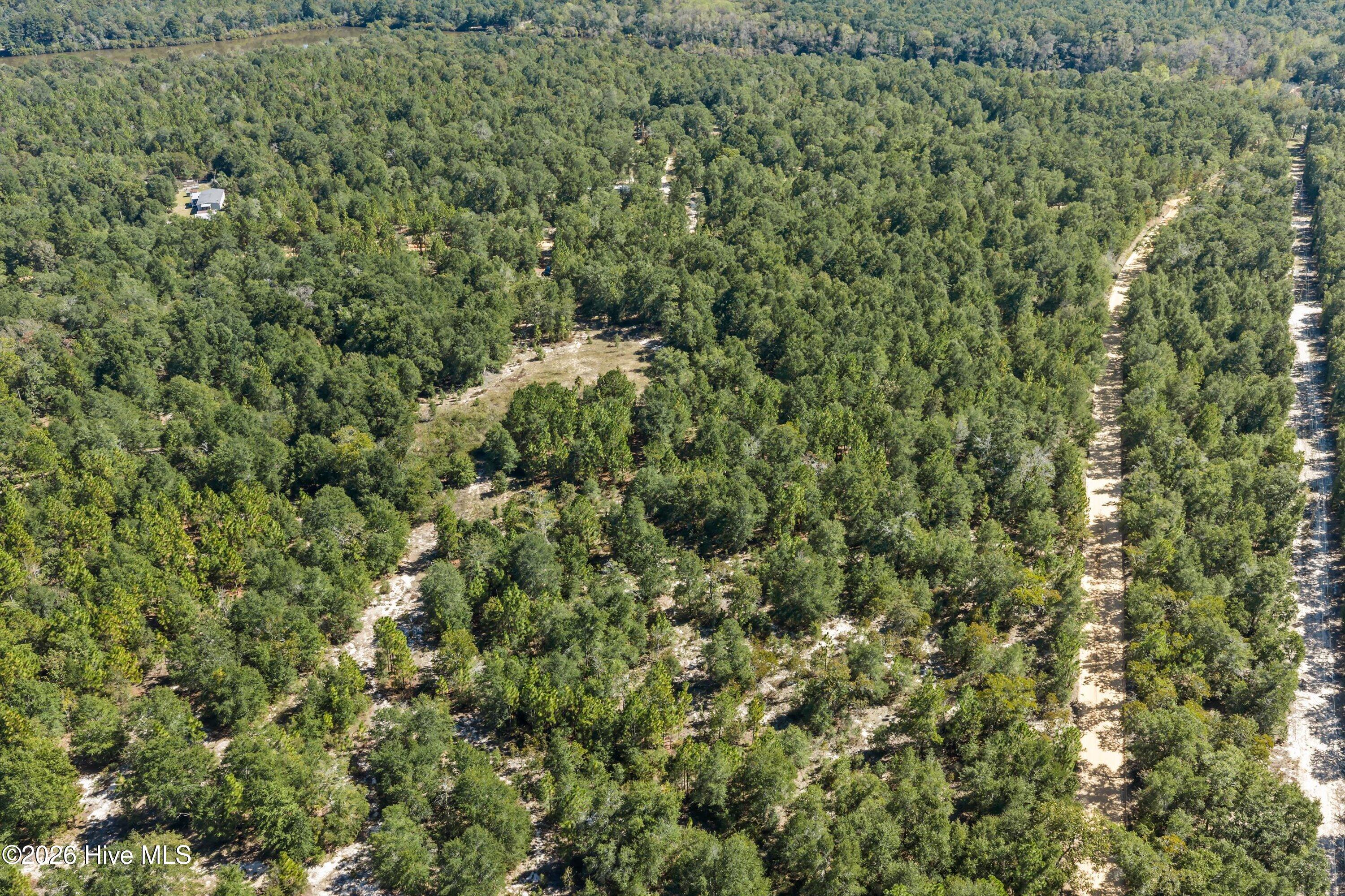 000.0 Mary Rawls Road Property Photo 15