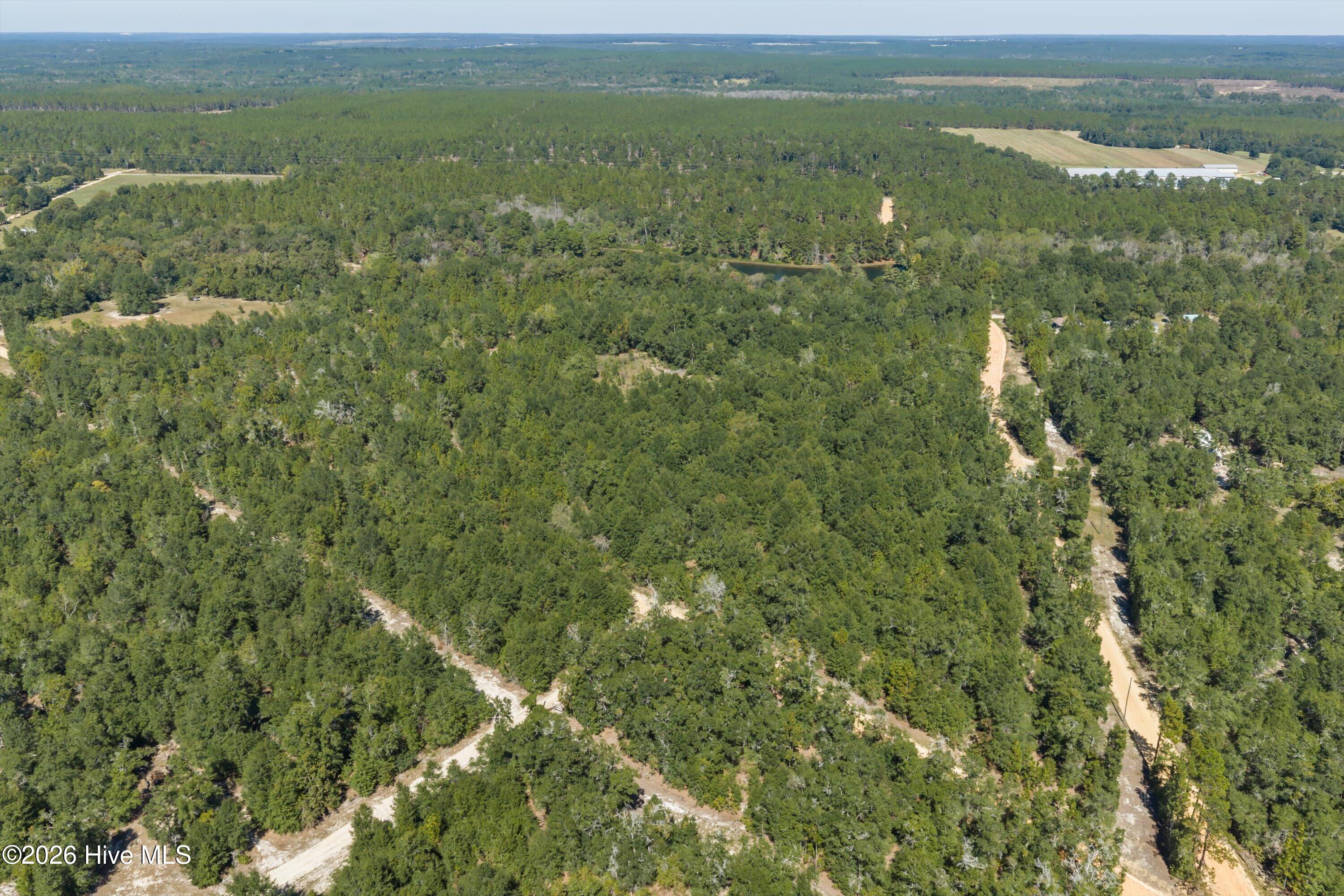 000.0 Mary Rawls Road Property Photo 16