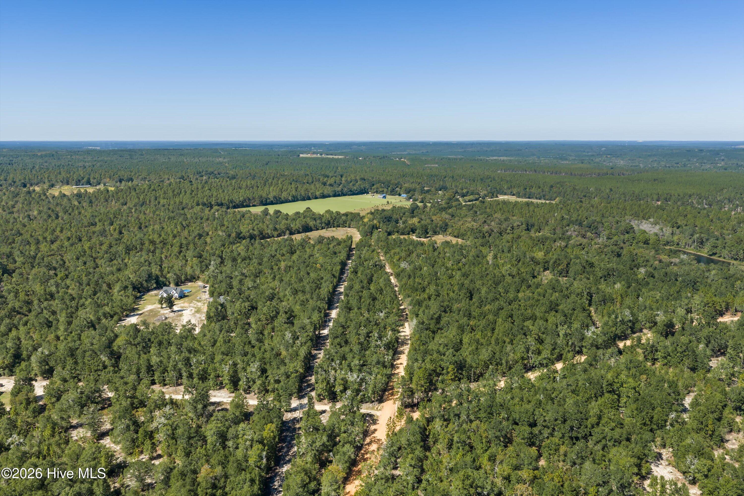 000.0 Mary Rawls Road Property Photo 17