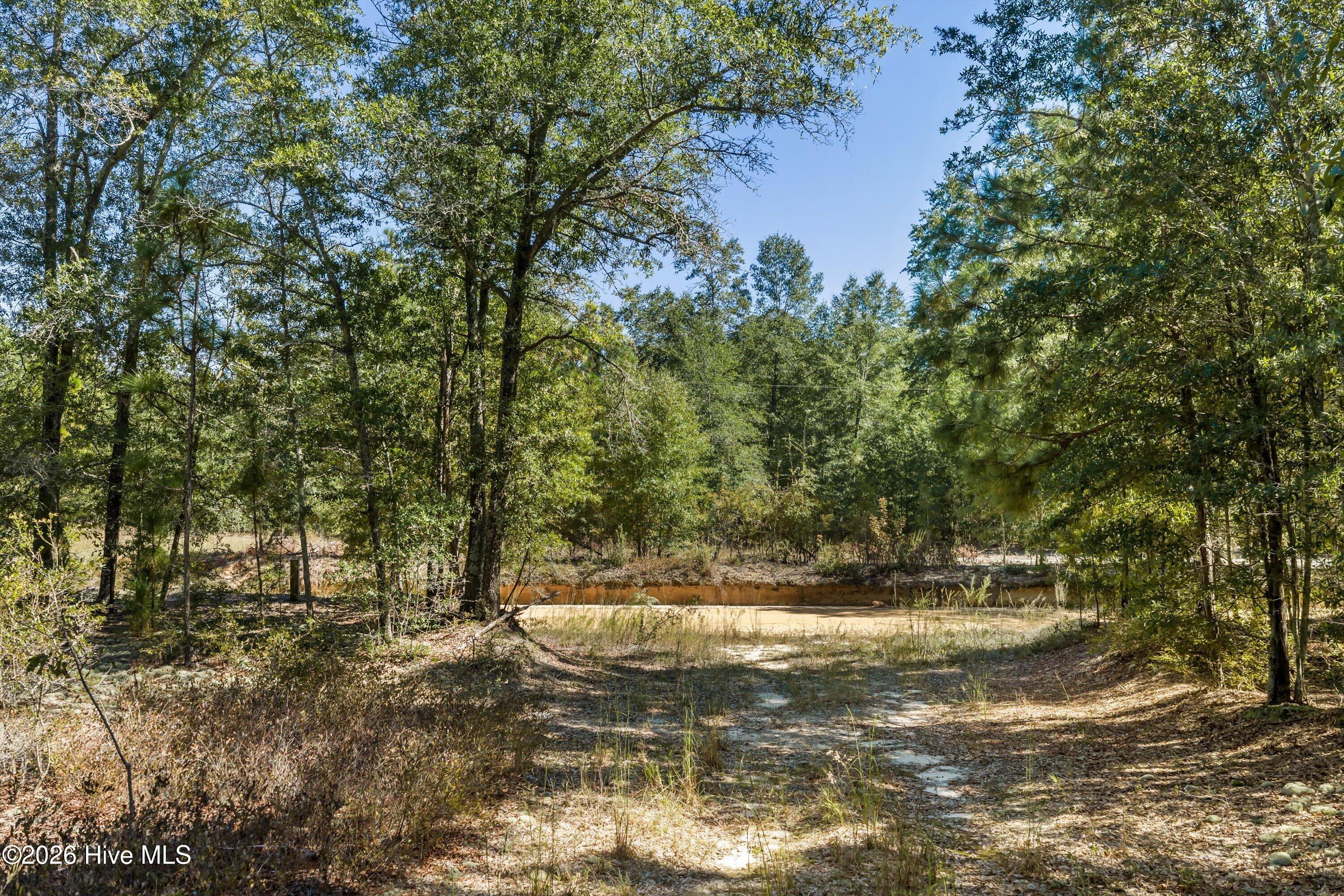 000.0 Mary Rawls Road Property Photo 21