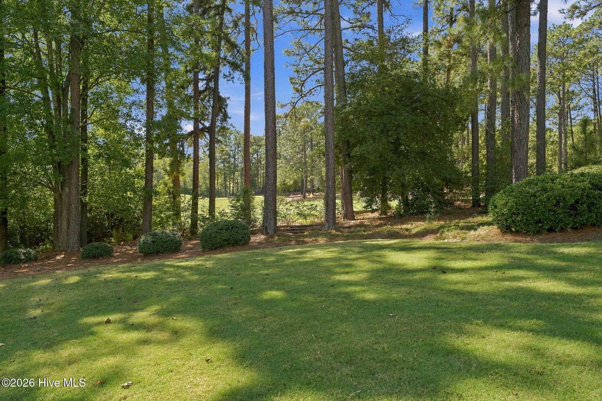 130 Woodenbridge Lane Property Photo 52
