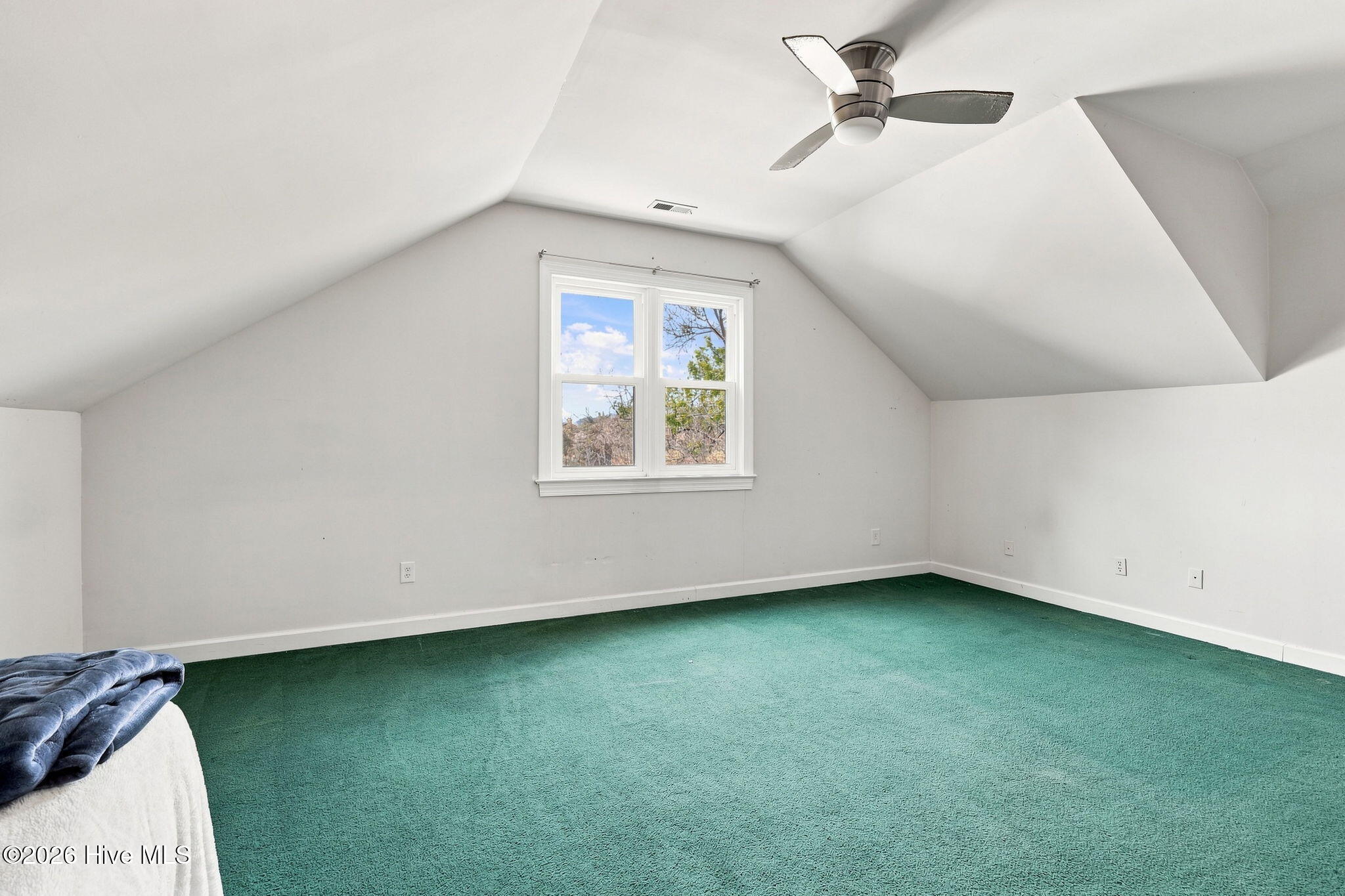 6605 Walnut Cove Drive Property Photo 43
