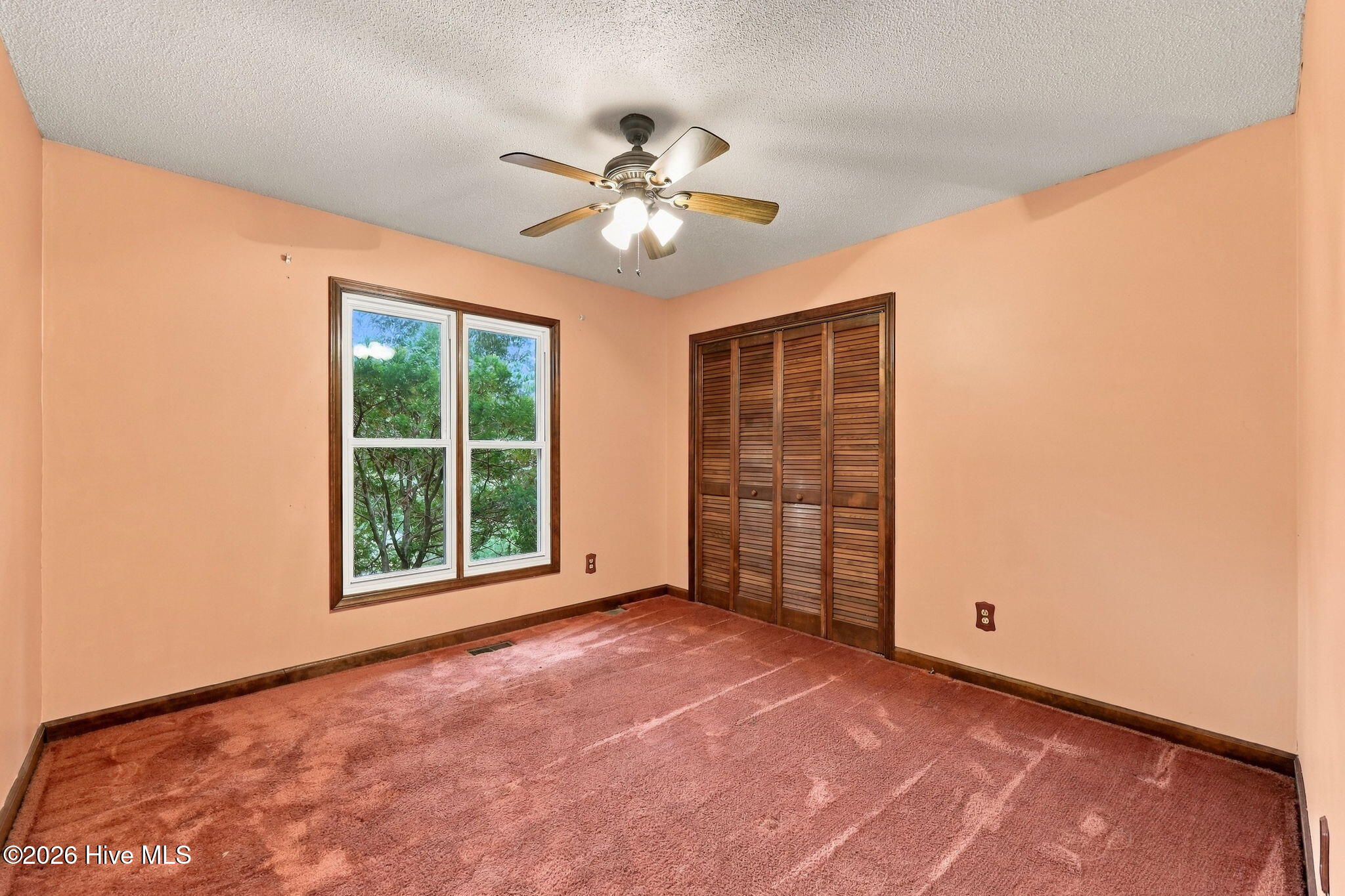 3 Ann Drive Property Photo 23