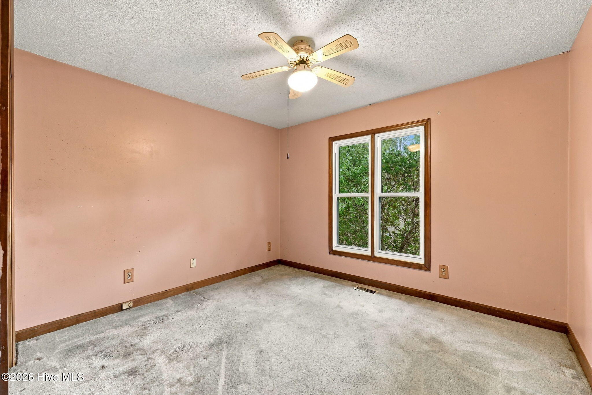 3 Ann Drive Property Photo 26