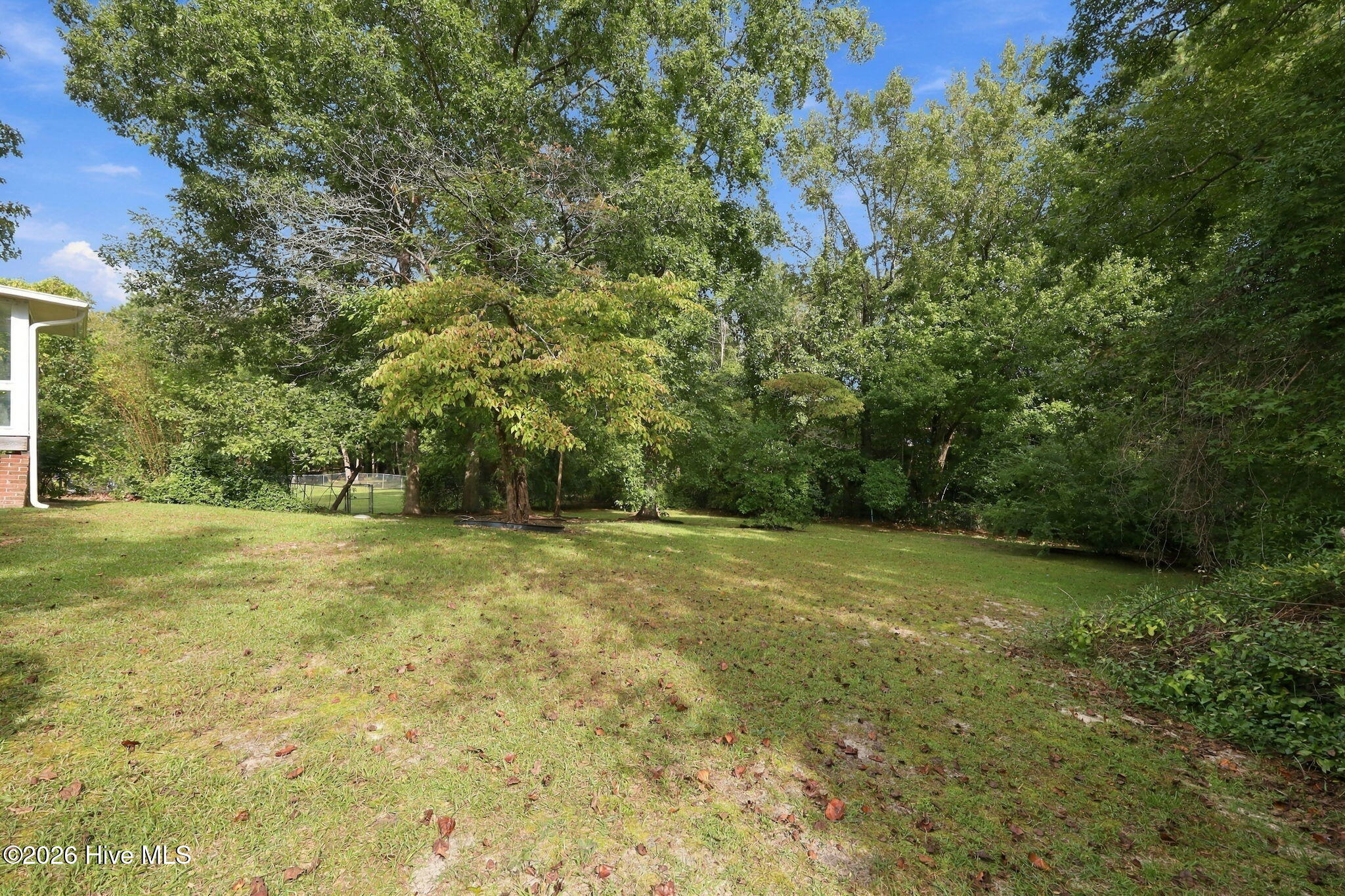 3 Ann Drive Property Photo 39