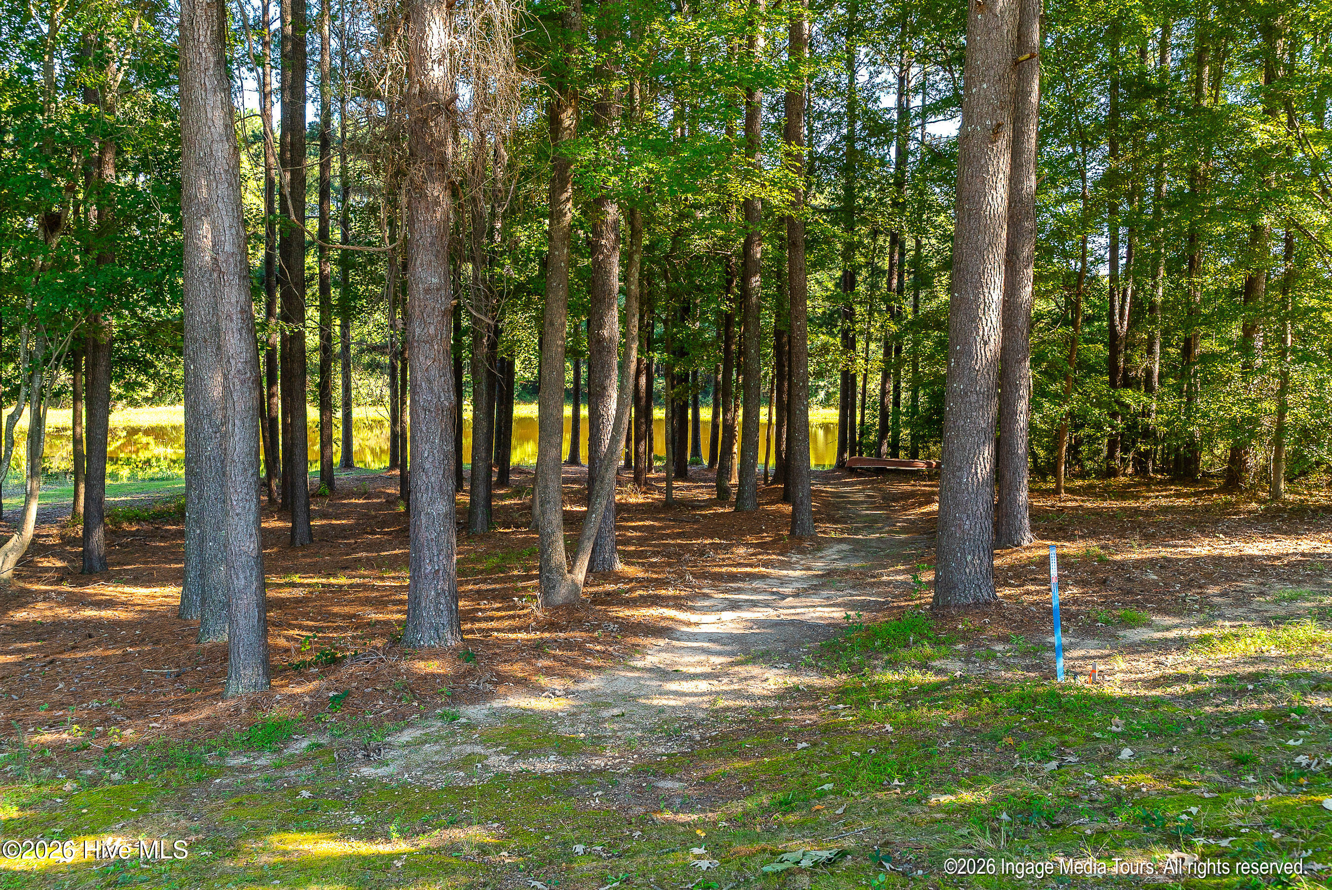 8607 Clearwater Drive Property Photo 60