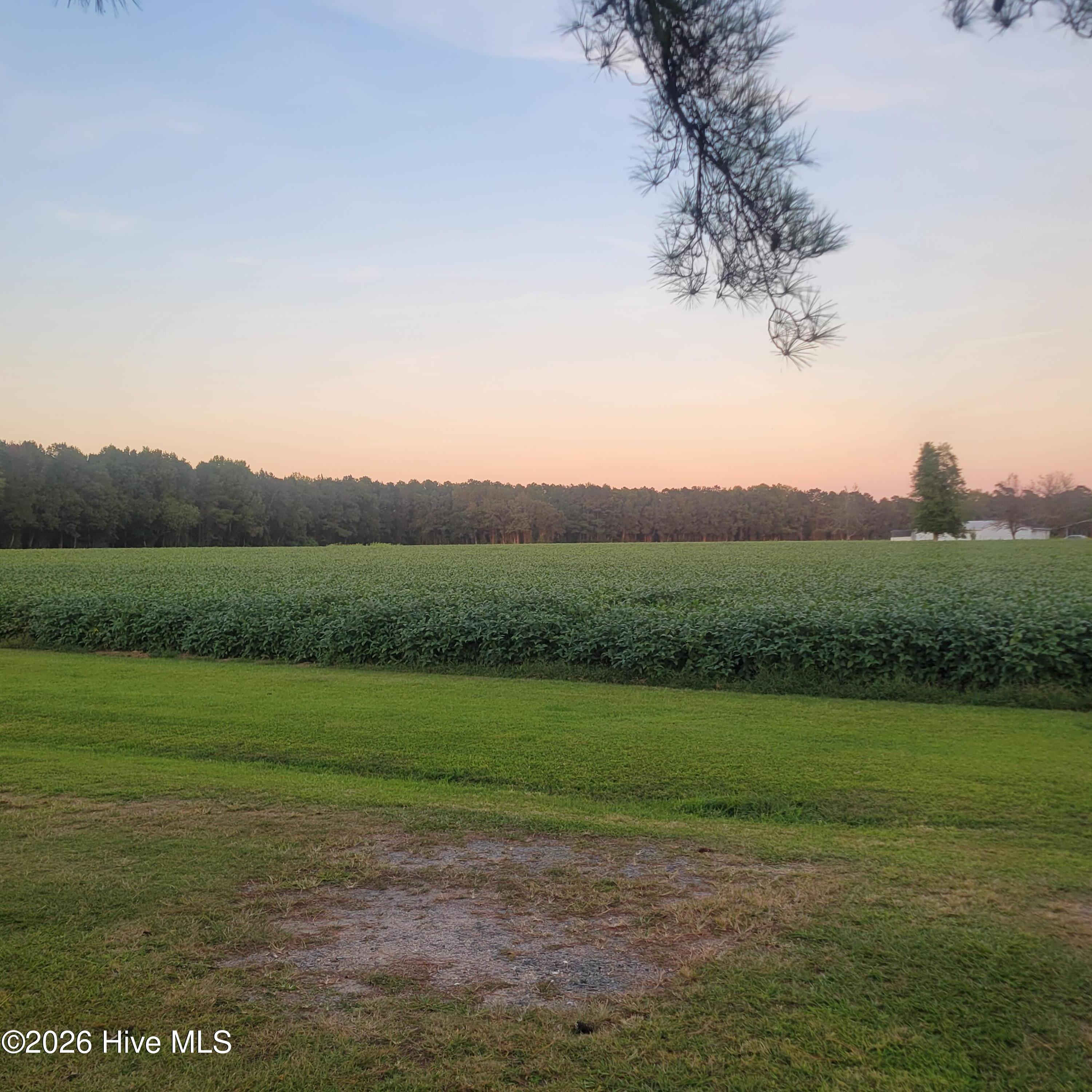3766 Nc Hwy 53 W Property Photo 35