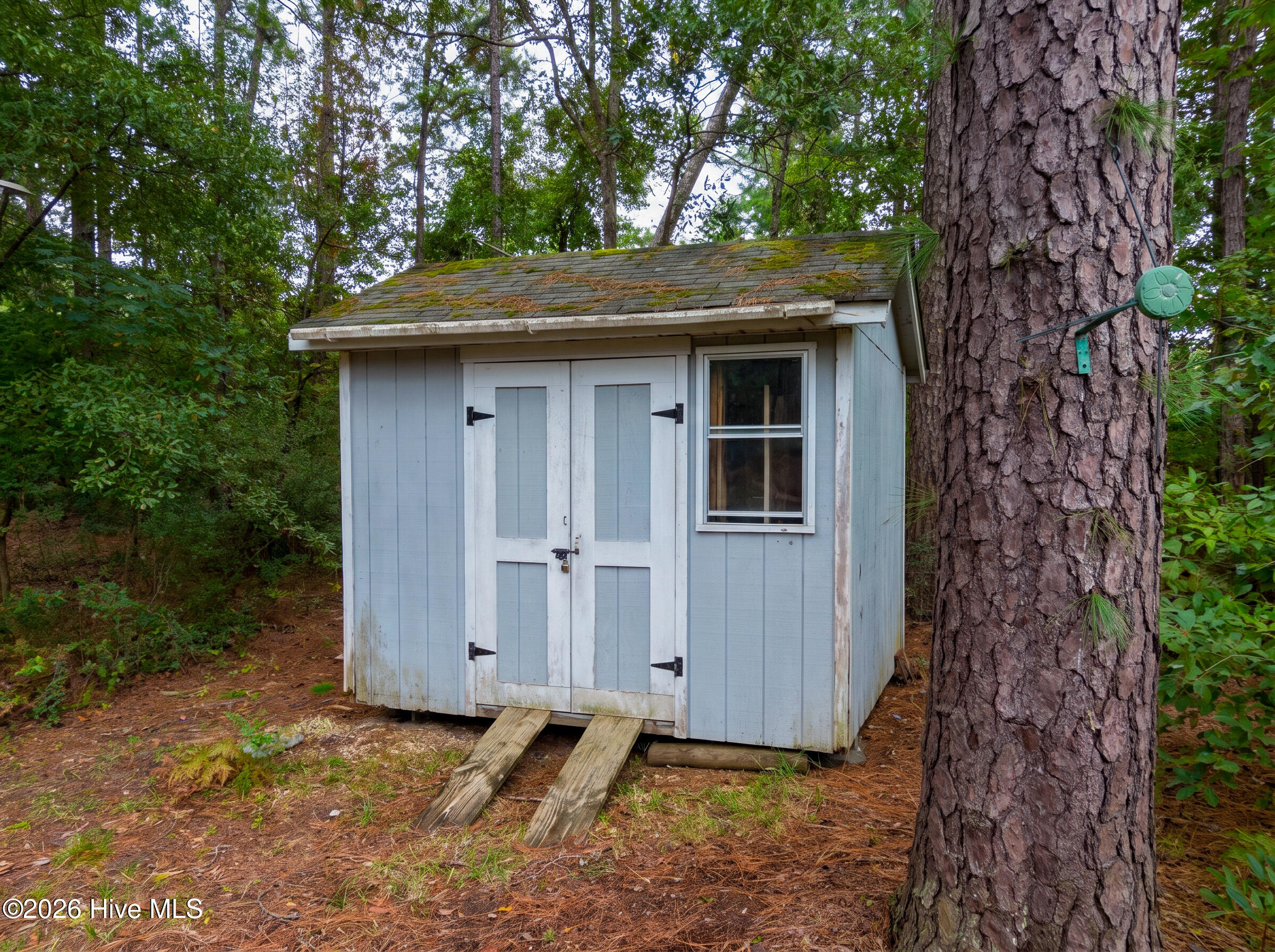 1811 Caracara Drive Property Photo 14