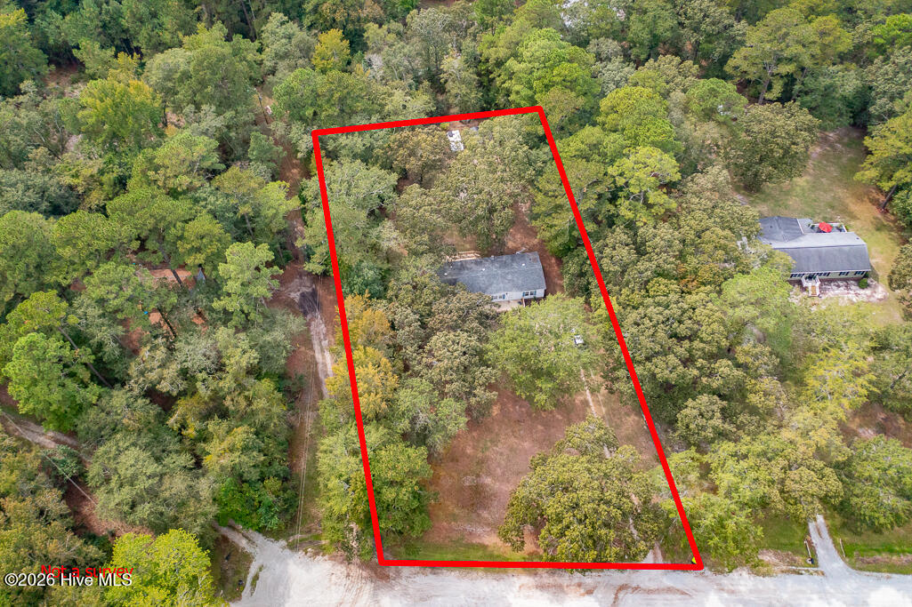 4105 Maggie Lane Property Photo 41