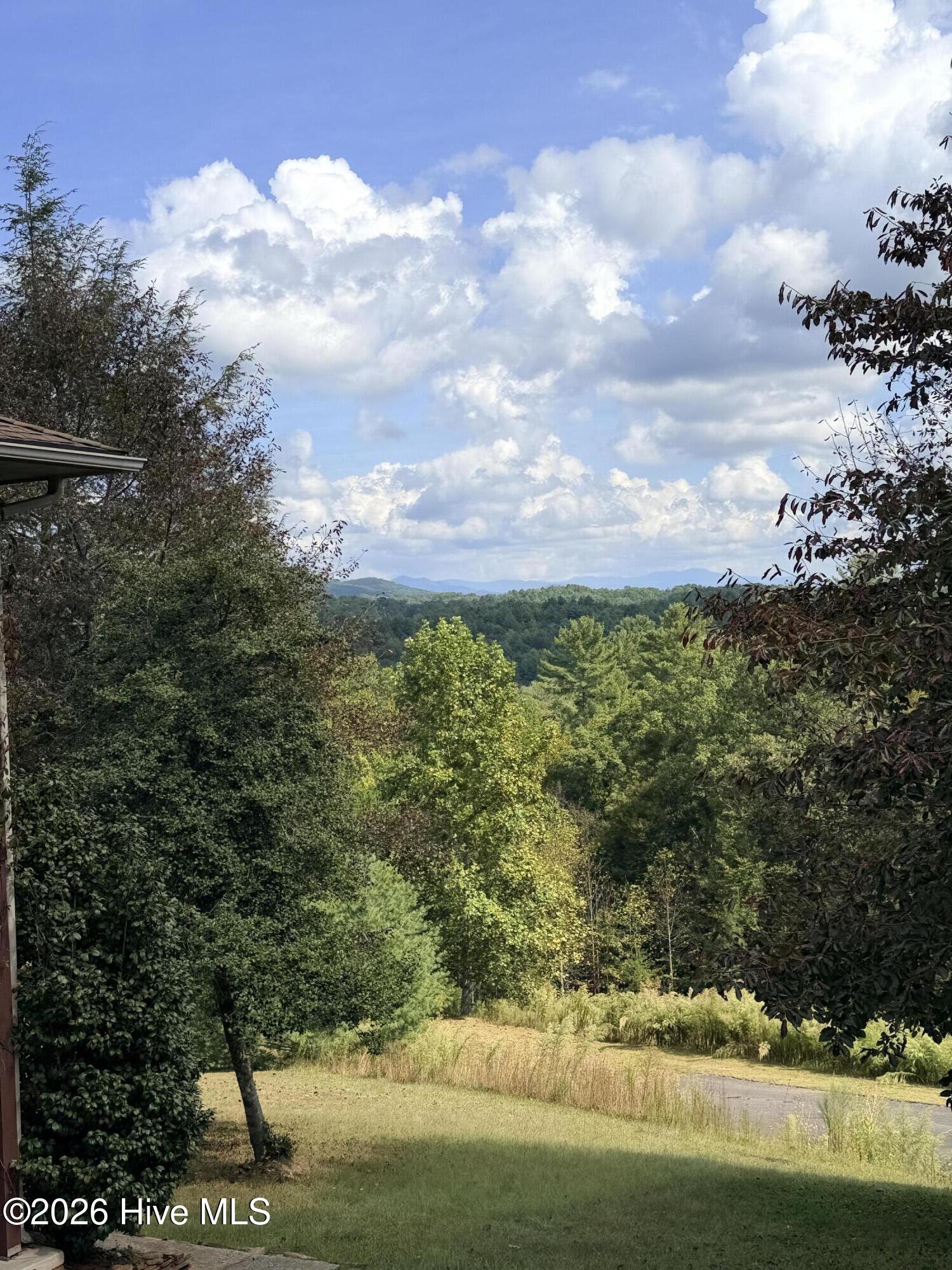 99 Old Possum Way Property Photo 3