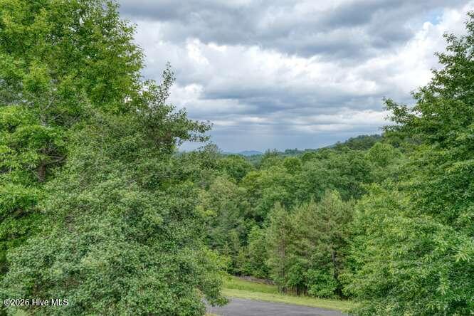 99 Old Possum Way Property Photo 53