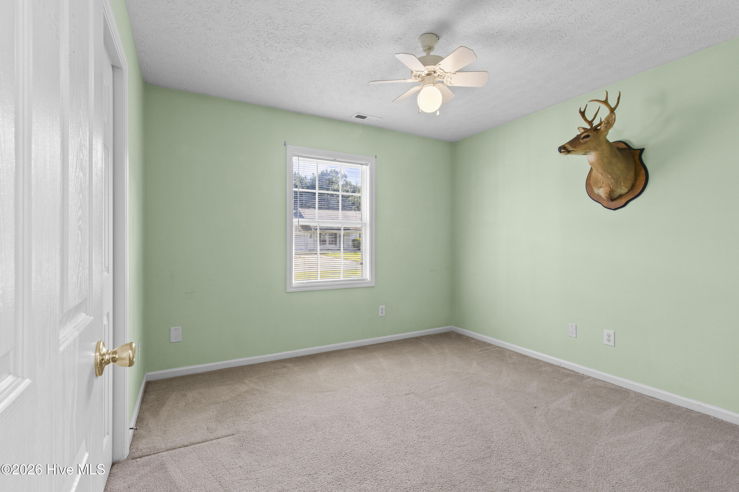 120 Eagle Trail Property Photo 16