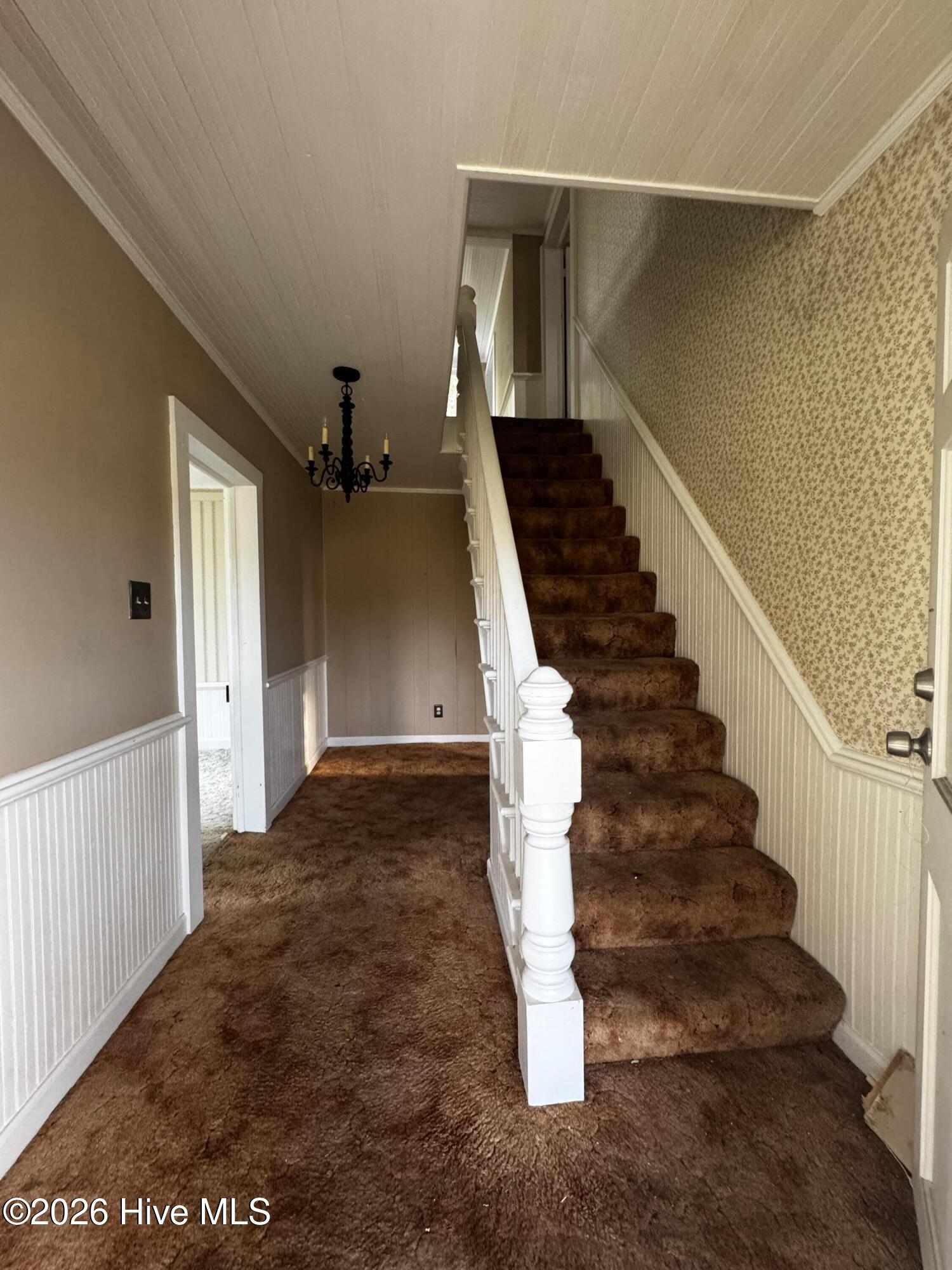352 Ryland Road Property Photo 4