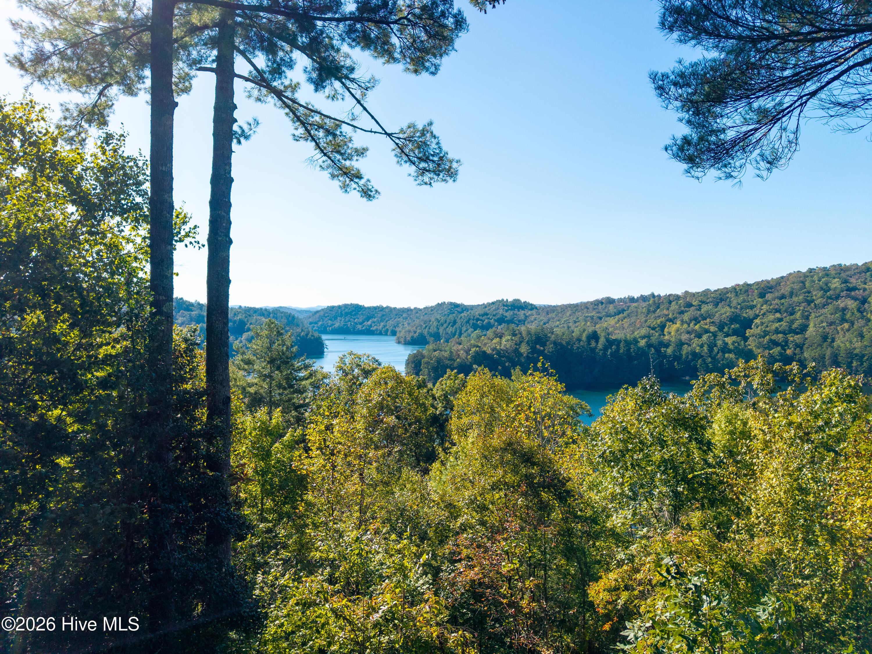 895 Lake Apalachia Acres Drive Property Photo 39