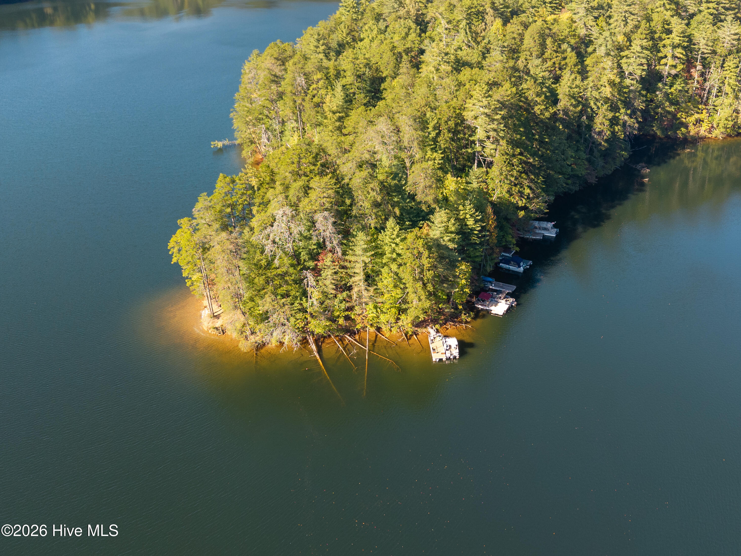 895 Lake Apalachia Acres Drive Property Photo 46